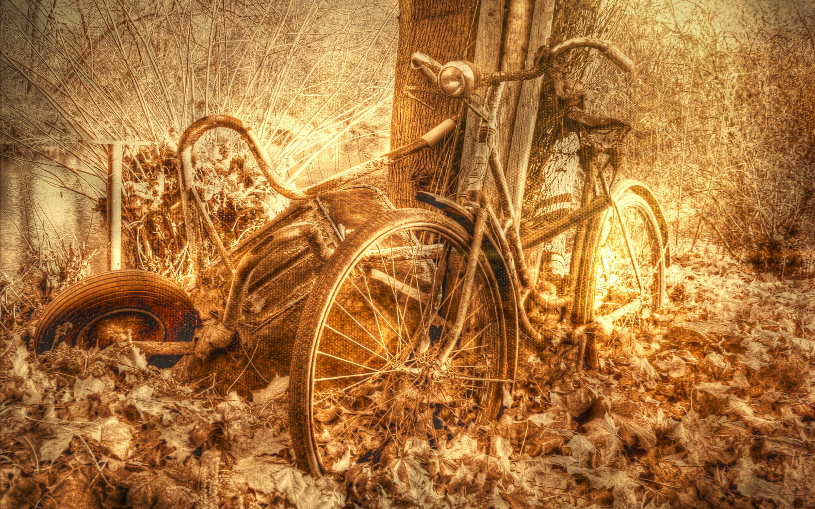 Free download Bicycle background ID:135004 hd 1680x1050 for computer