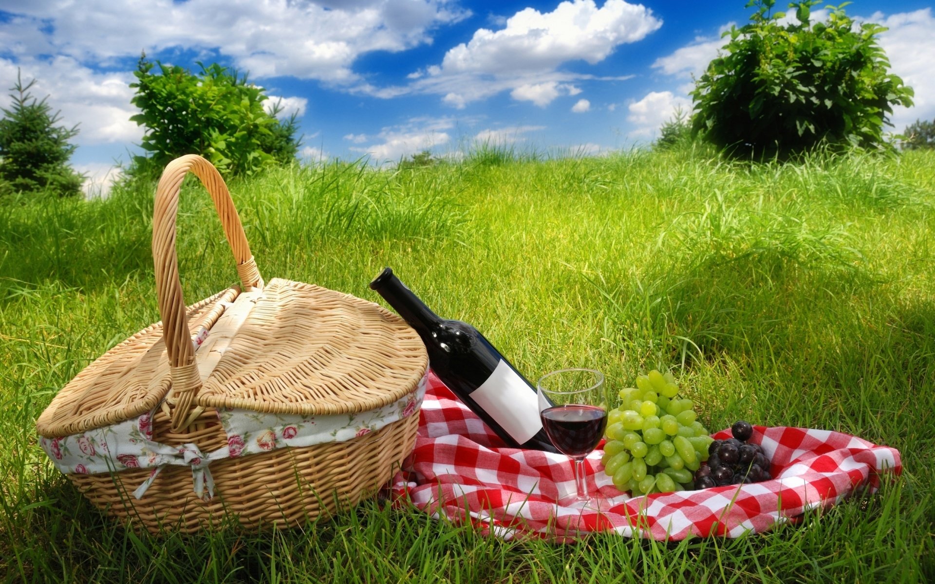 Awesome Picnic free background ID:353045 for hd 1920x1200 computer