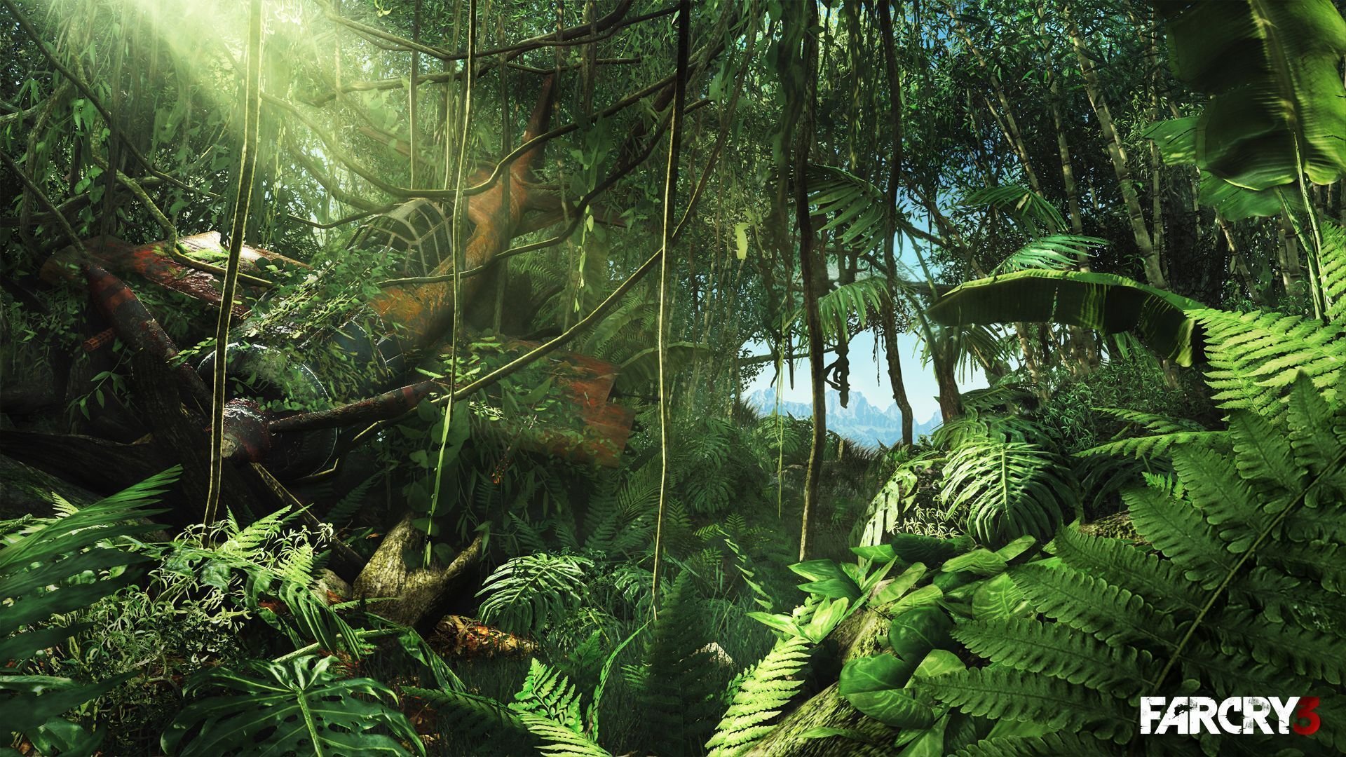 High resolution Far Cry 3 full hd 1080p background ID:282444 for PC
