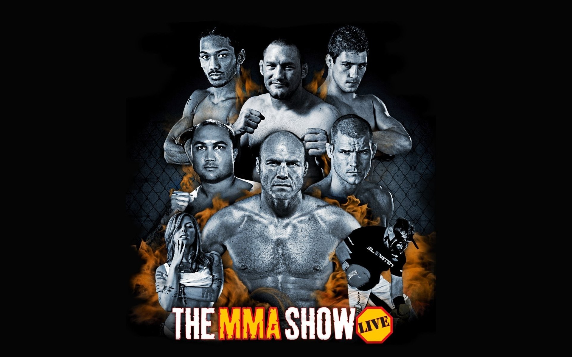 Download hd 1920x1200 MMA (Mixed Martial Arts) desktop background ID:389407 for free