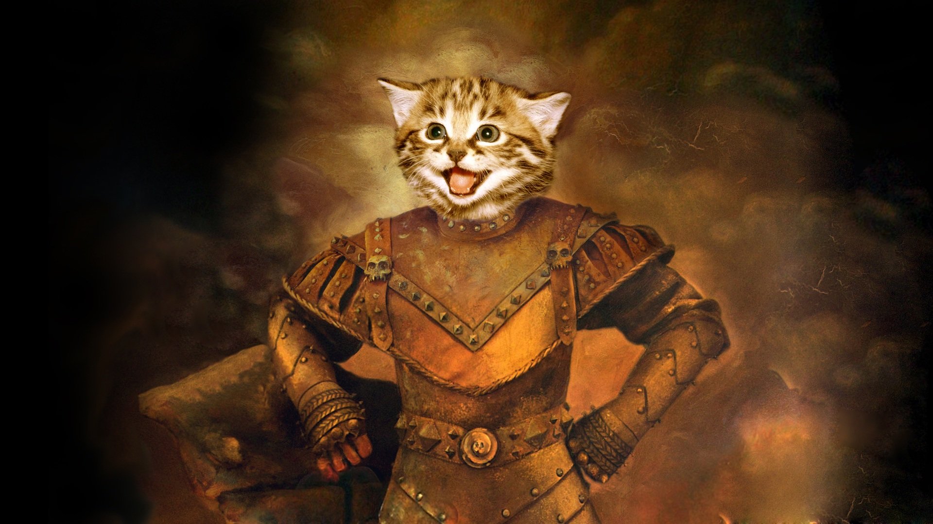 Free Cat Fantasy high quality background ID:247052 for full hd 1080p PC