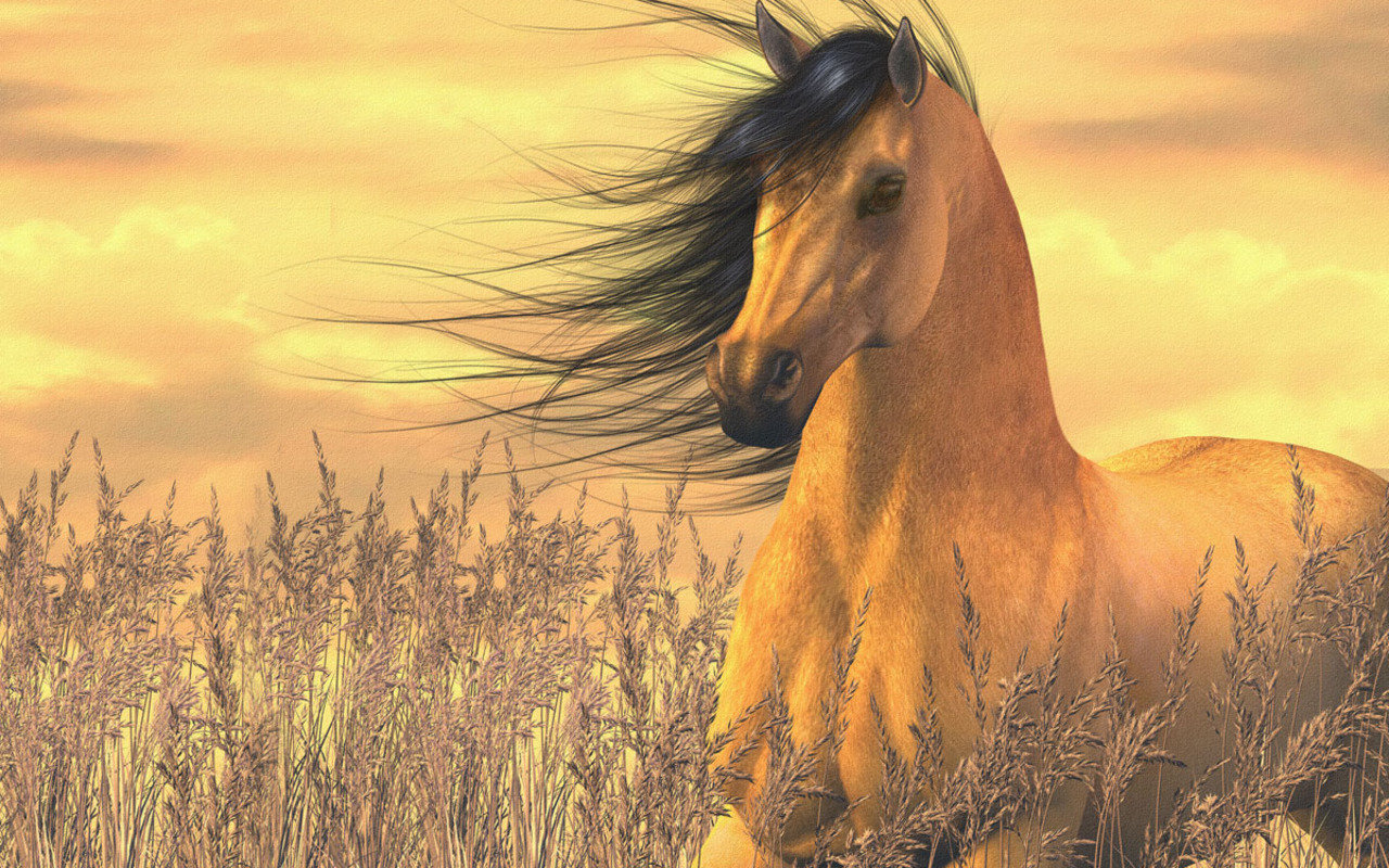 Awesome Horse free wallpaper ID:23188 for hd 1280x800 desktop
