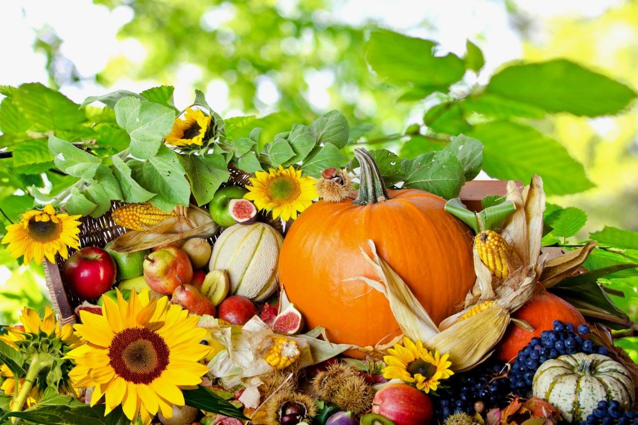 Free Thanksgiving high quality background ID:144661 for hd 1280x854 PC