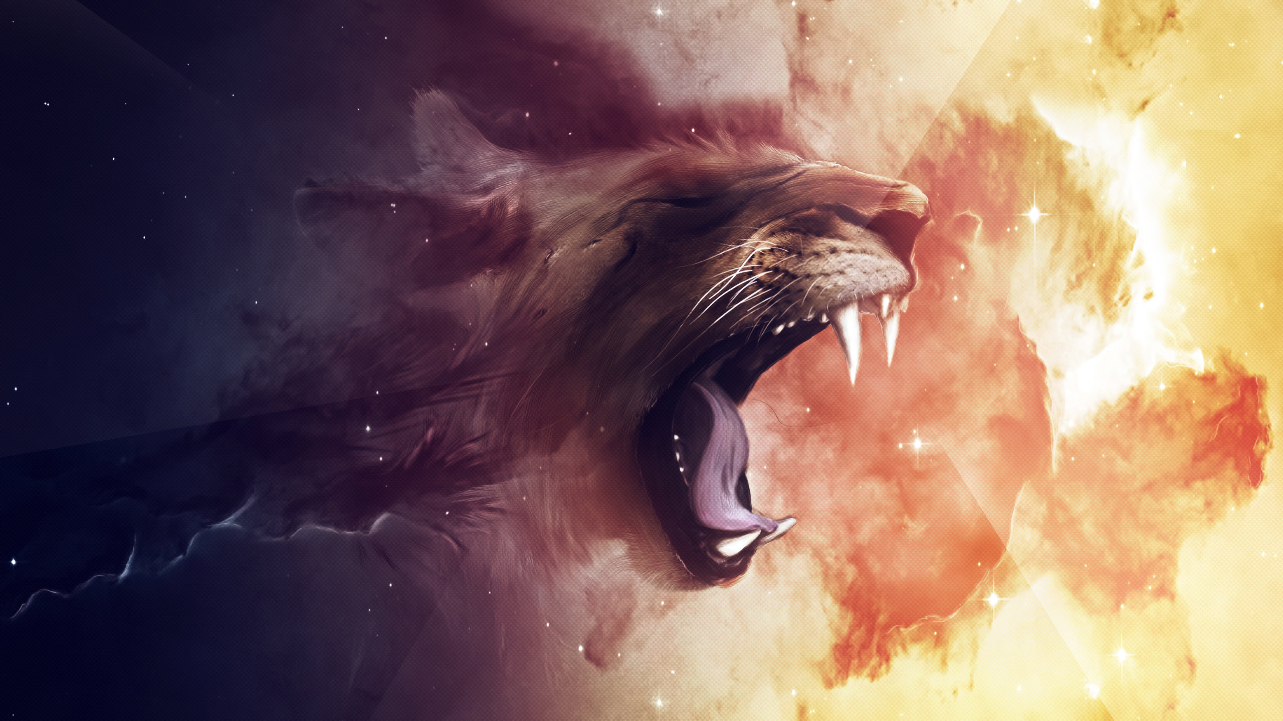 Free Lion high quality background ID:255165 for hd 2560x1440 computer