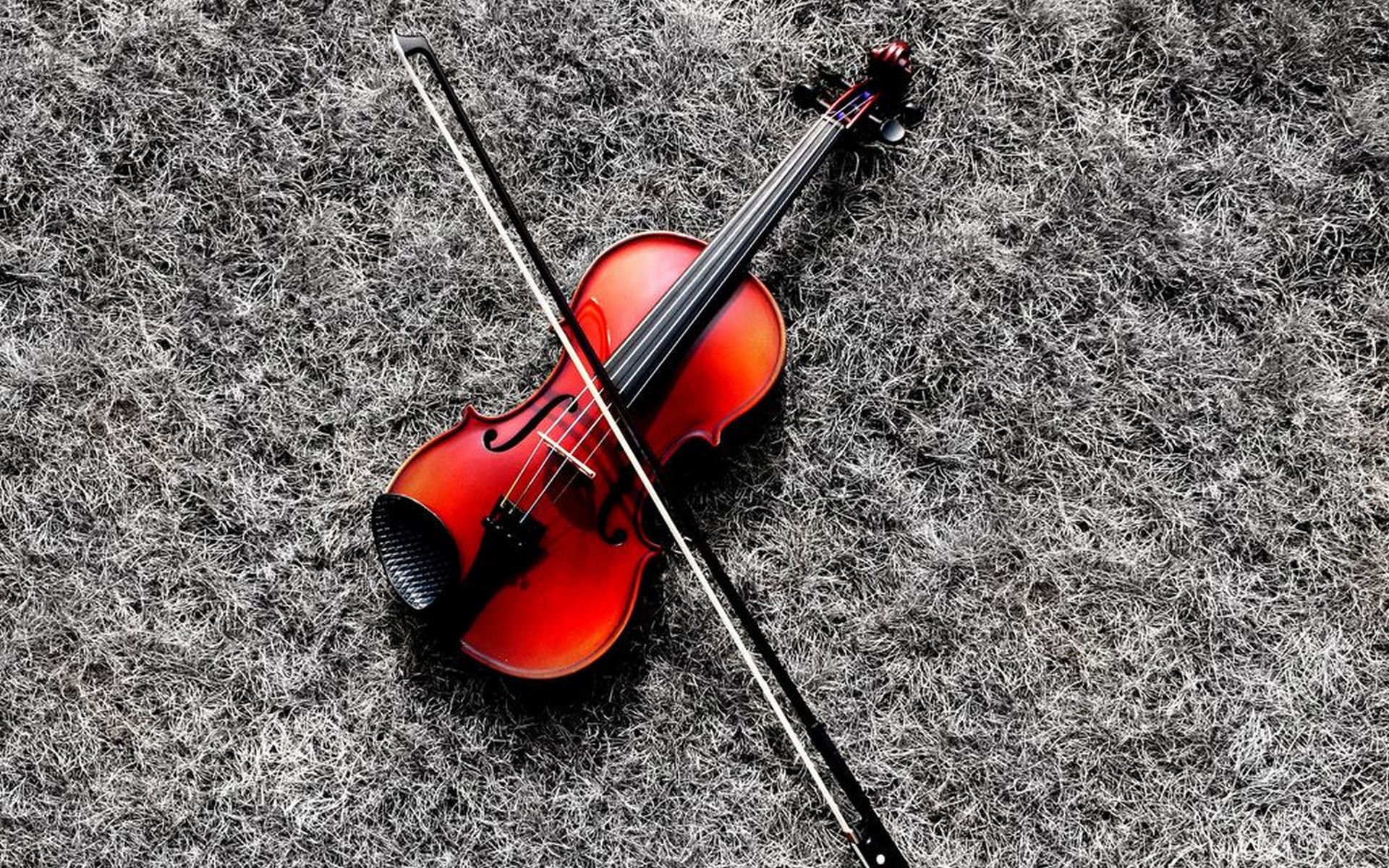 High resolution Violin hd 1920x1200 background ID:53592 for computer