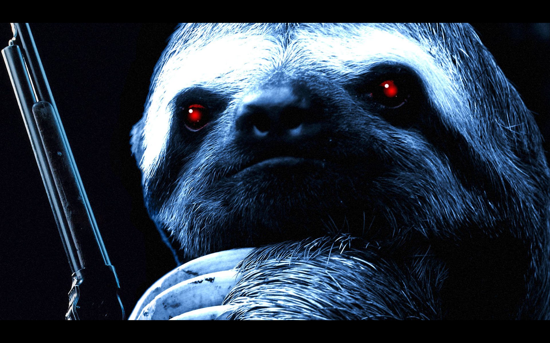 Best Sloth background ID:68363 for High Resolution hd 1920x1200 PC