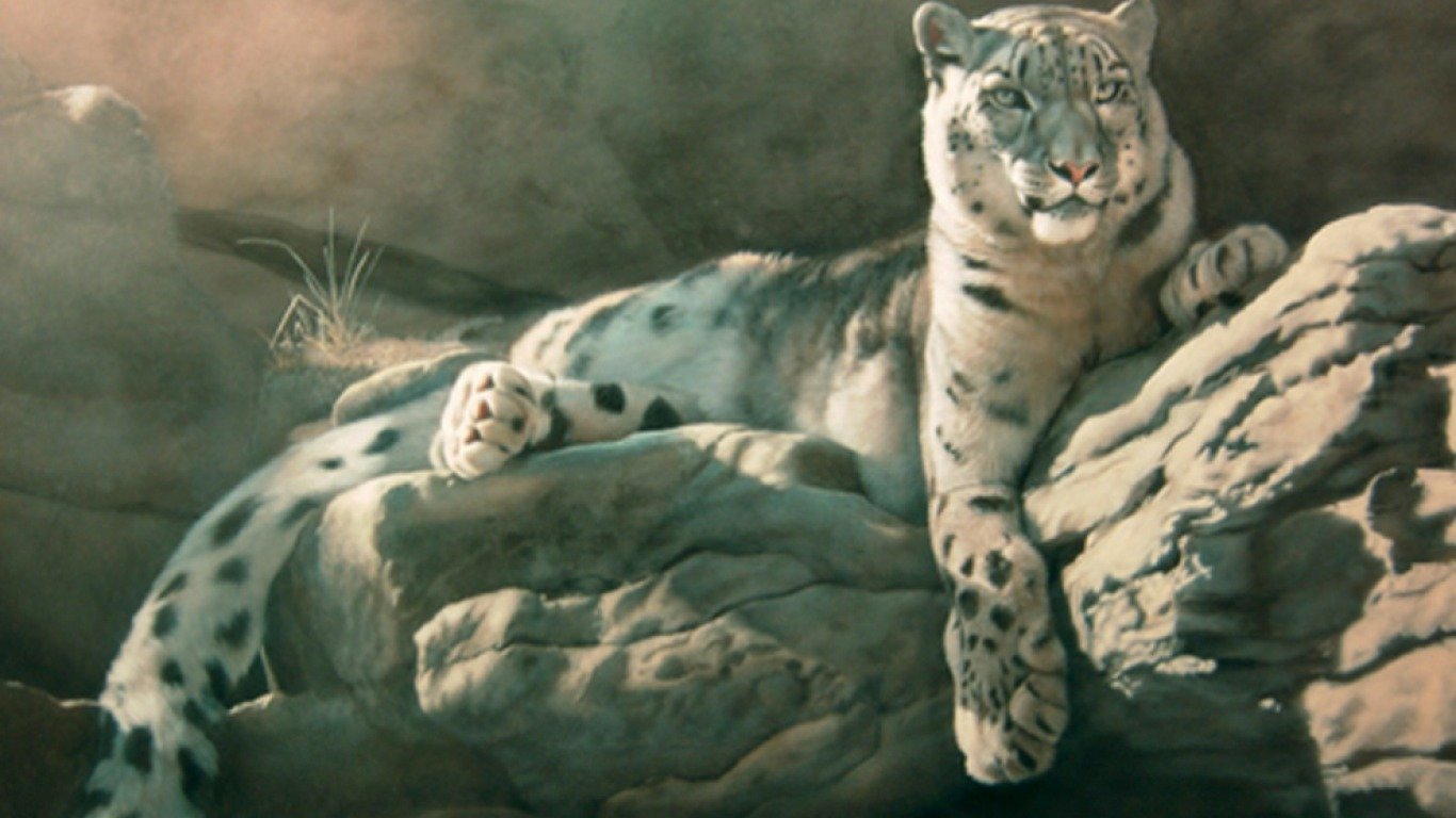 Download 1366x768 laptop Snow Leopard PC background ID:34430 for free