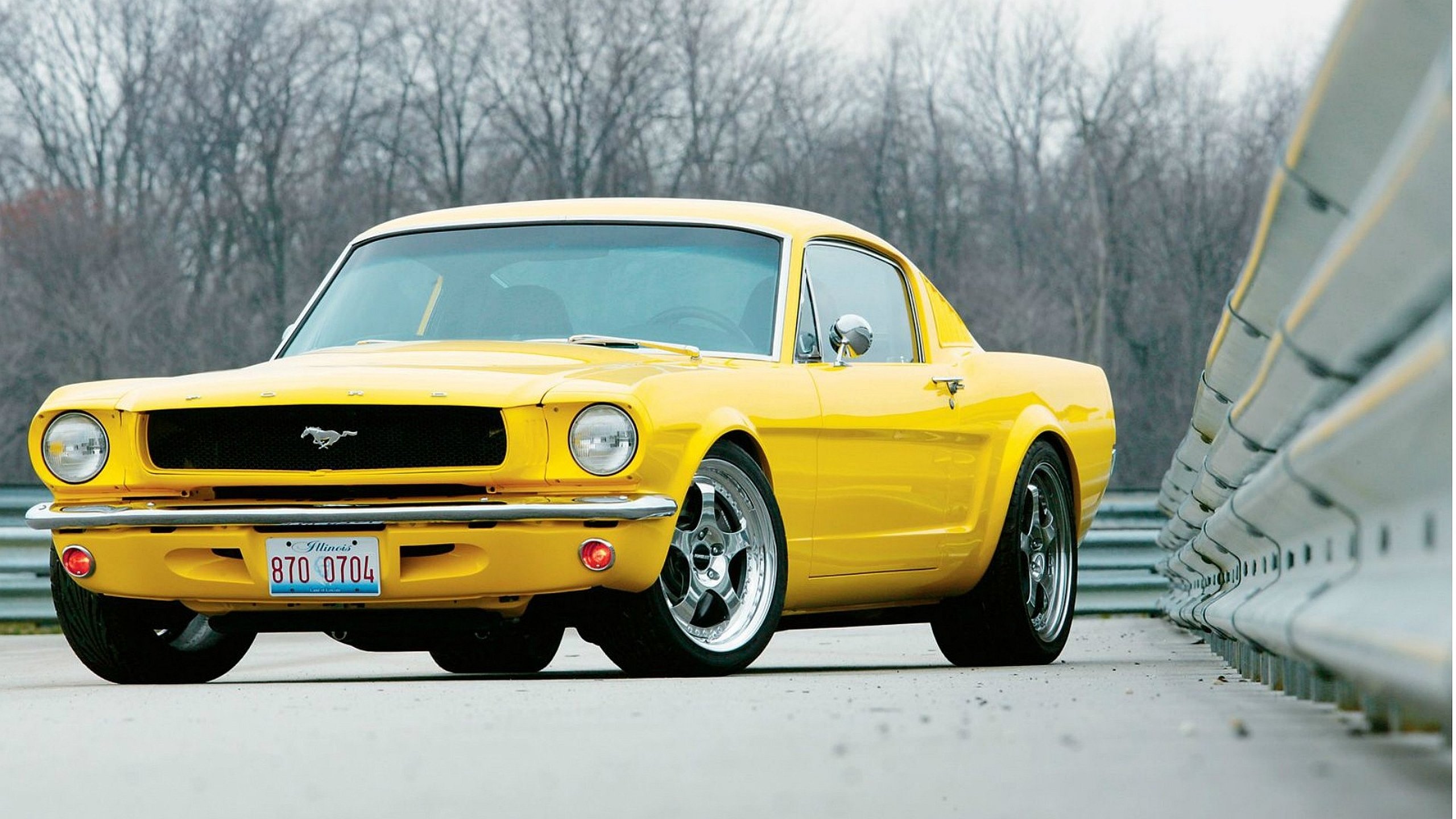 Free Ford Mustang high quality wallpaper ID:204806 for hd 2560x1440 computer