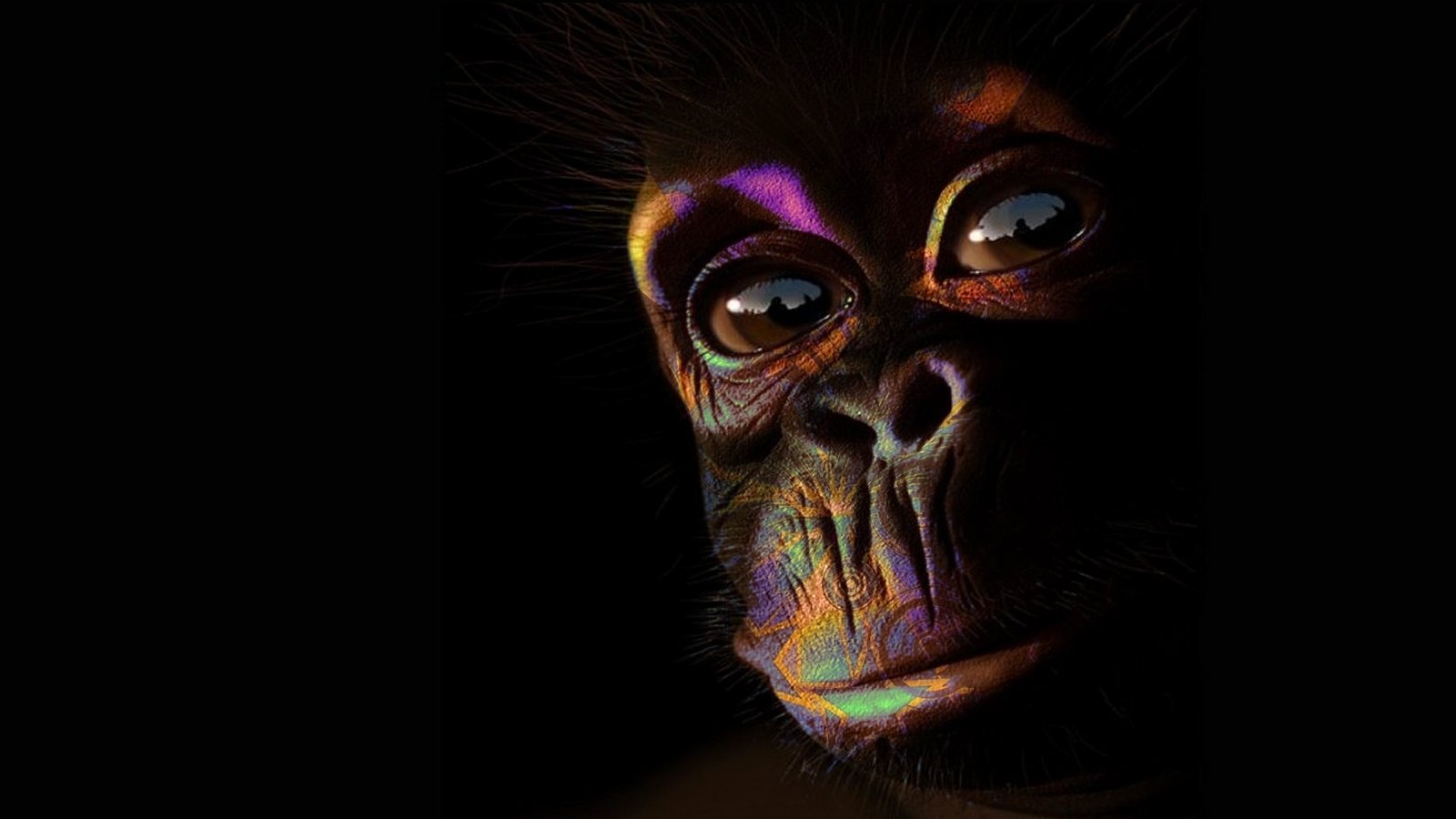 Awesome Monkey free background ID:128004 for hd 1600x900 PC