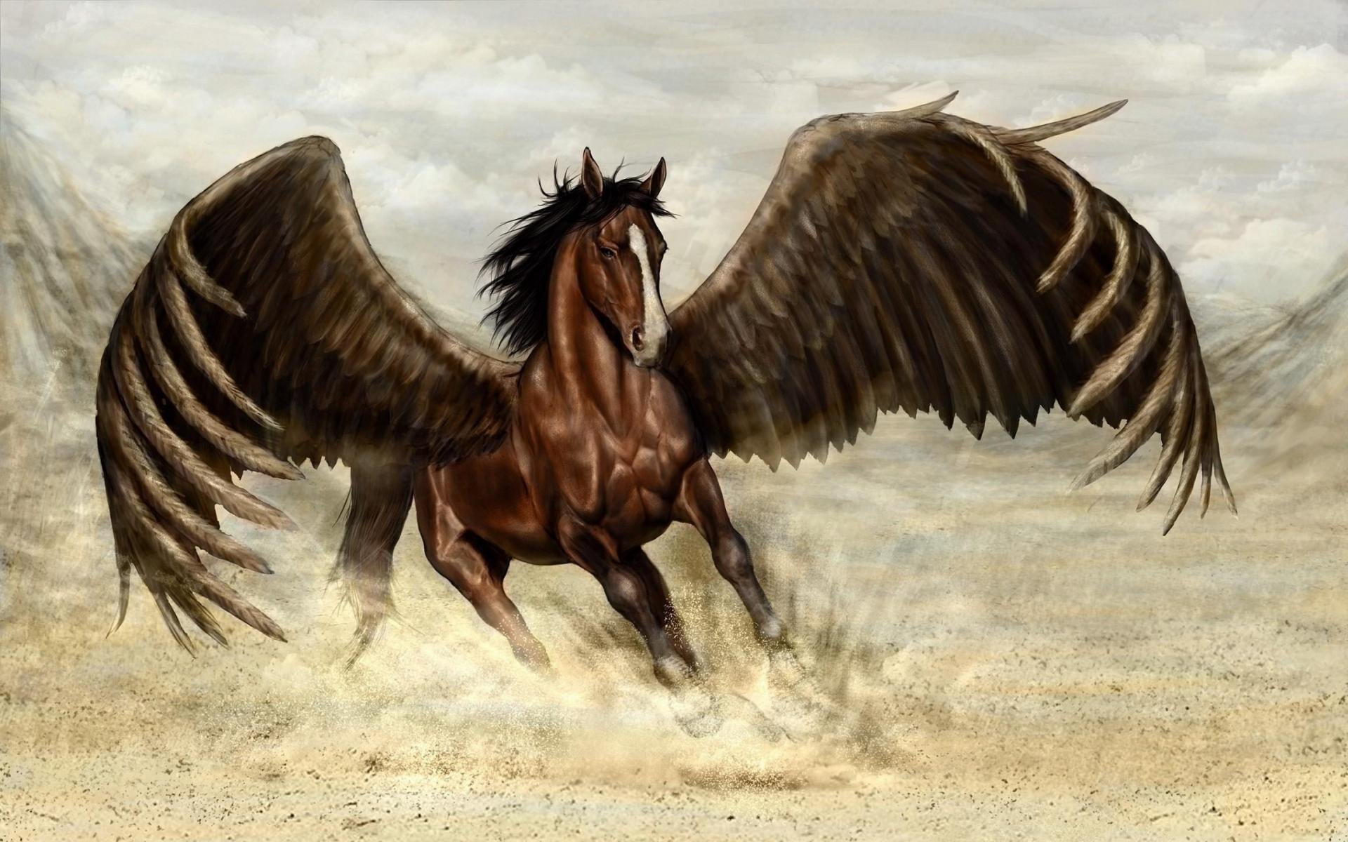 High resolution Pegasus hd 1920x1200 background ID:270863 for PC