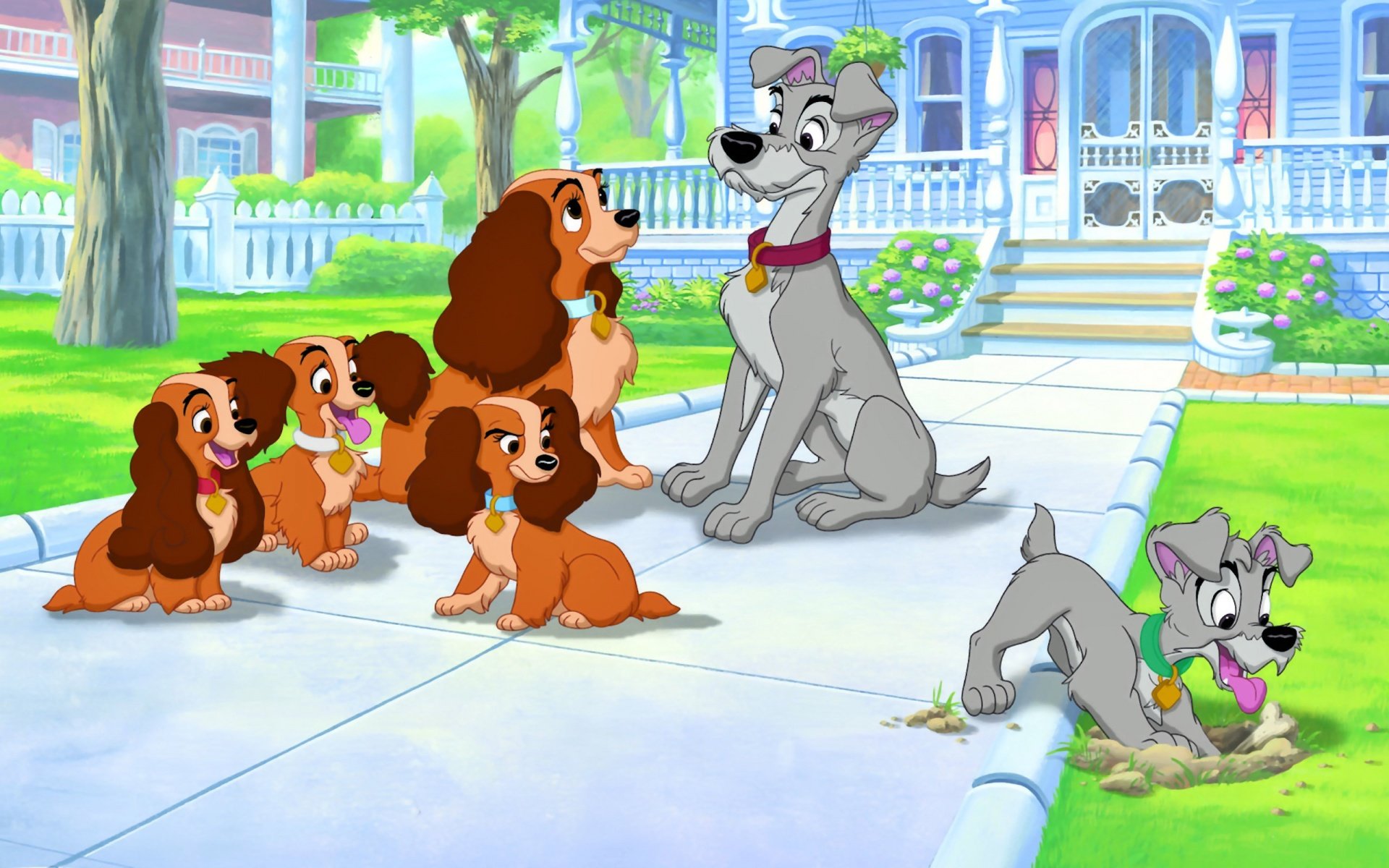 Best Lady And The Tramp background ID:35231 for High Resolution hd 1920x1200 PC