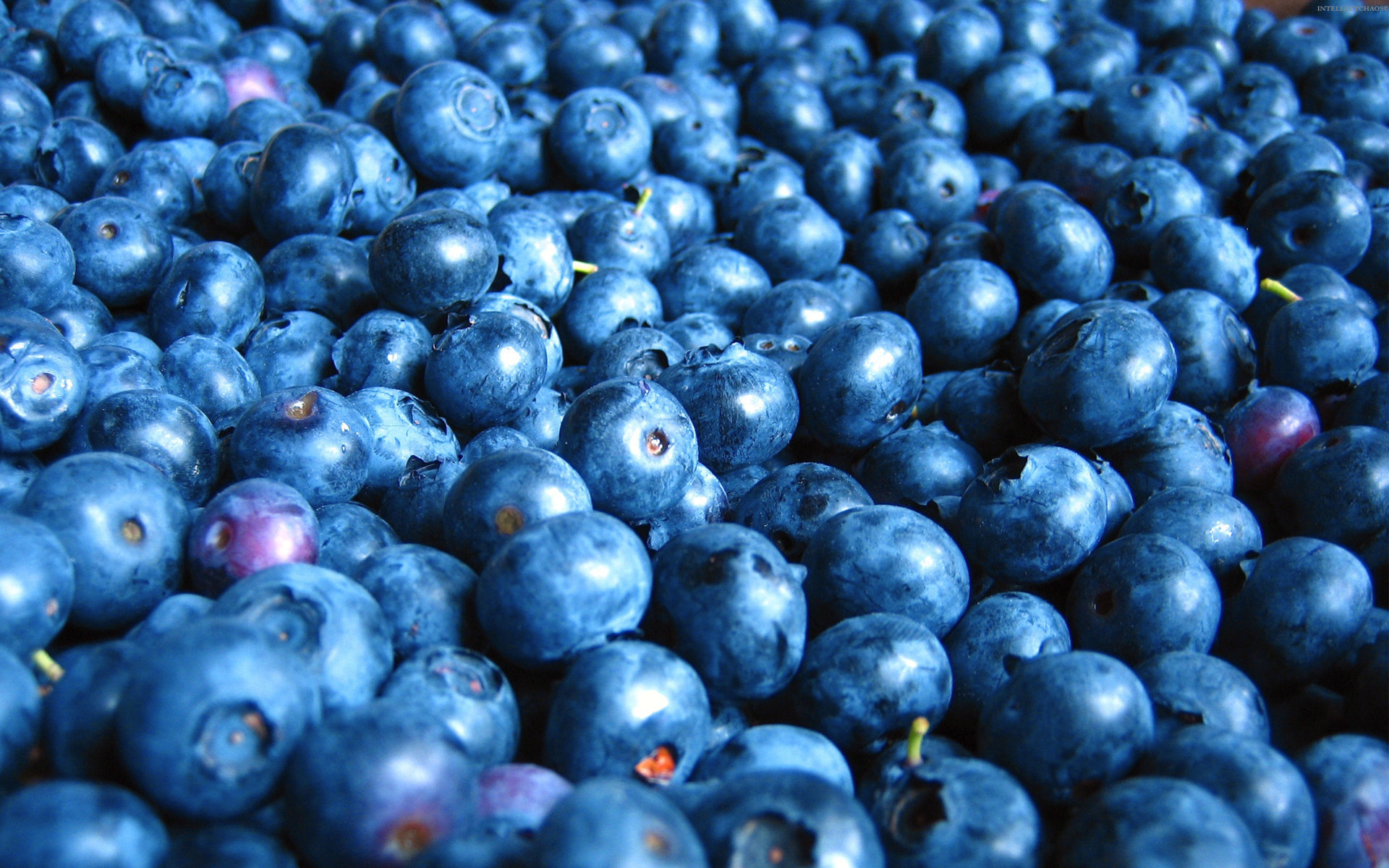 Free Blueberry high quality background ID:68975 for hd 1920x1200 computer