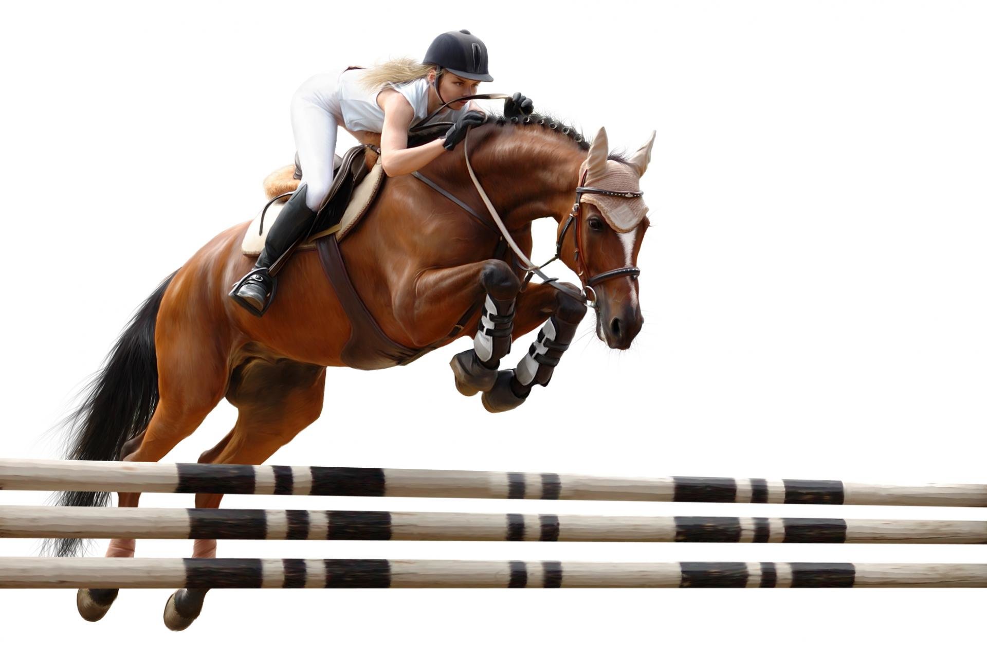 Free download Horse Jumping wallpaper ID:282944 hd 1920x1280 for desktop