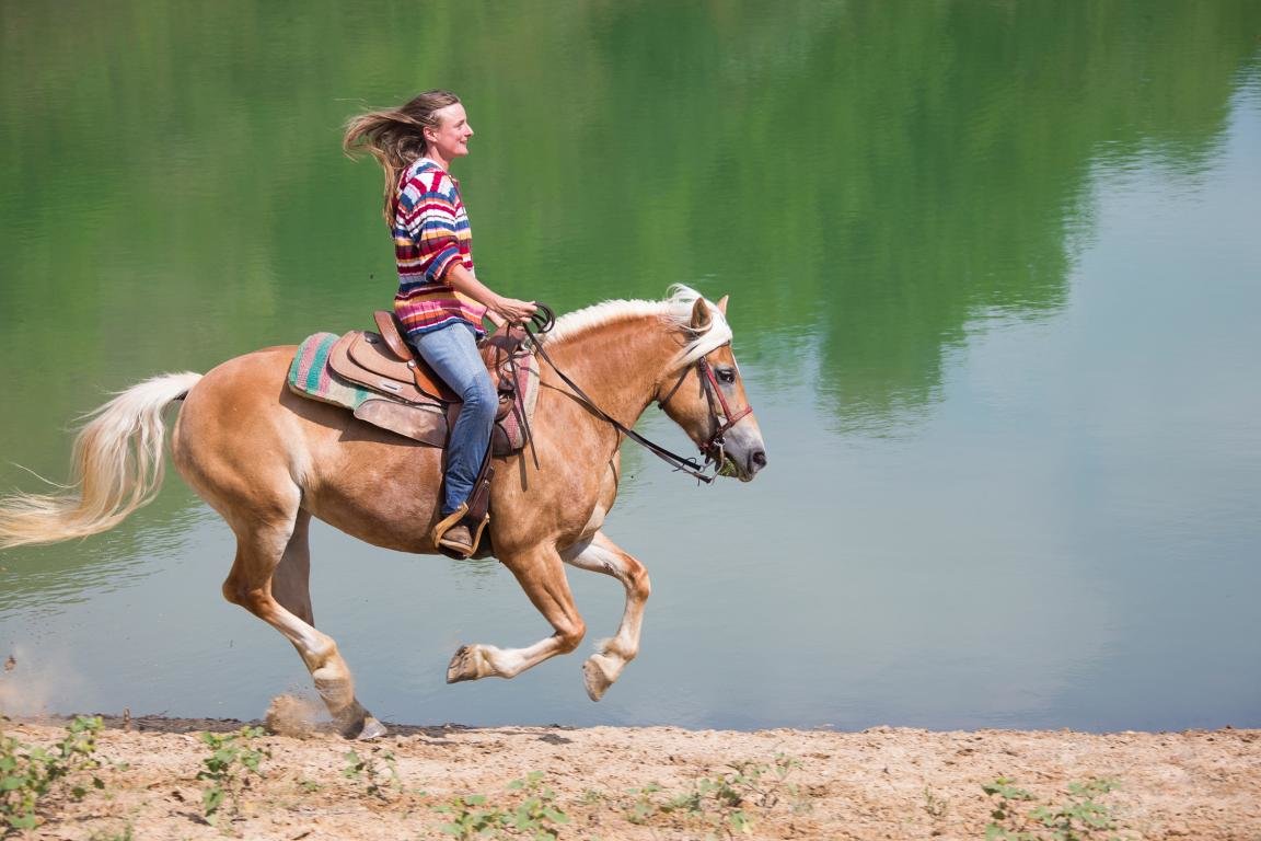 Awesome Horse Riding free wallpaper ID:301716 for hd 1152x768 computer