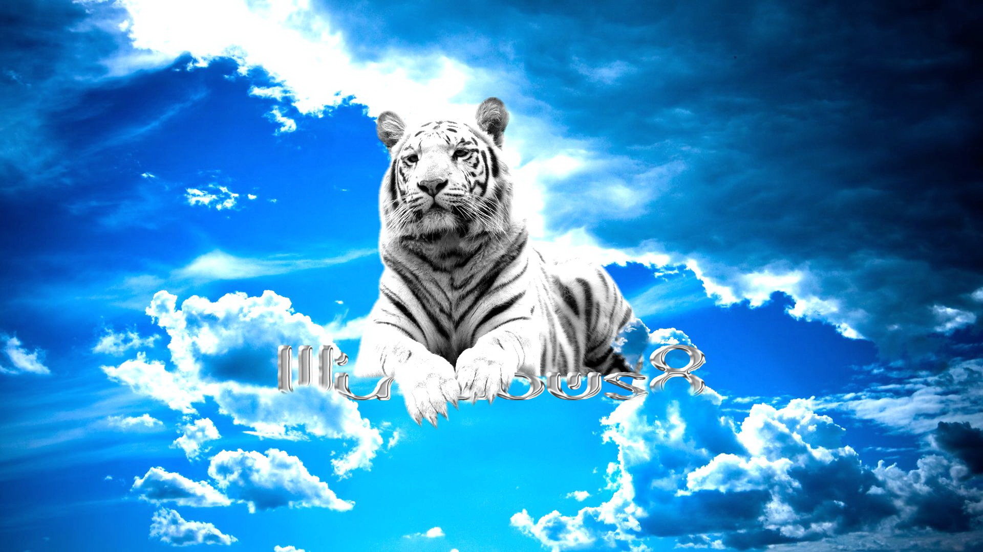 High resolution White Tiger hd 1080p wallpaper ID:174865 for desktop