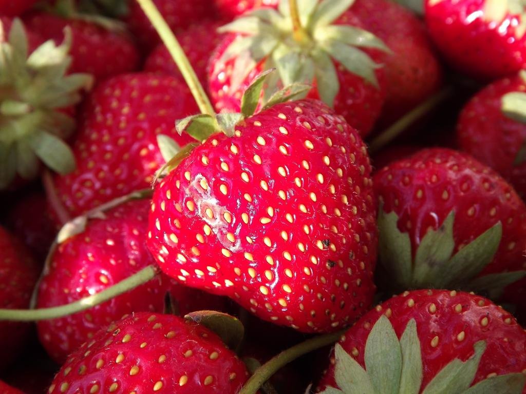 Download hd 1024x768 Strawberry PC background ID:90909 for free