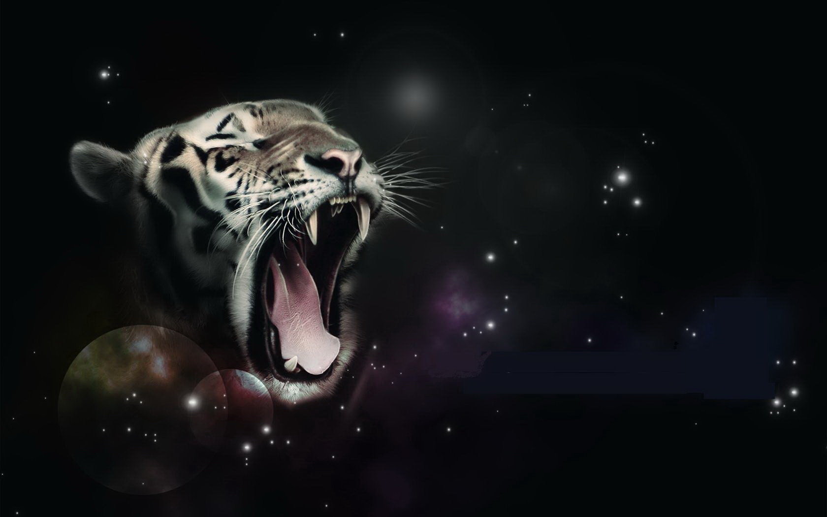 High resolution White Tiger hd 1680x1050 wallpaper ID:175025 for PC