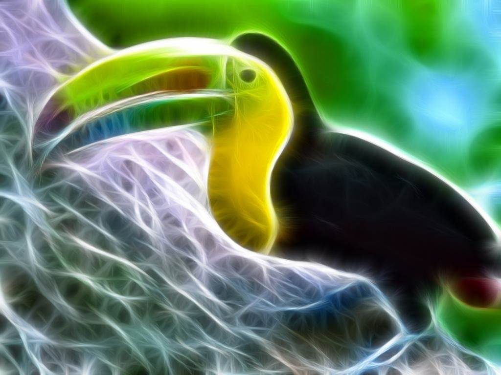 Download hd 1024x768 Toucan PC background ID:57296 for free