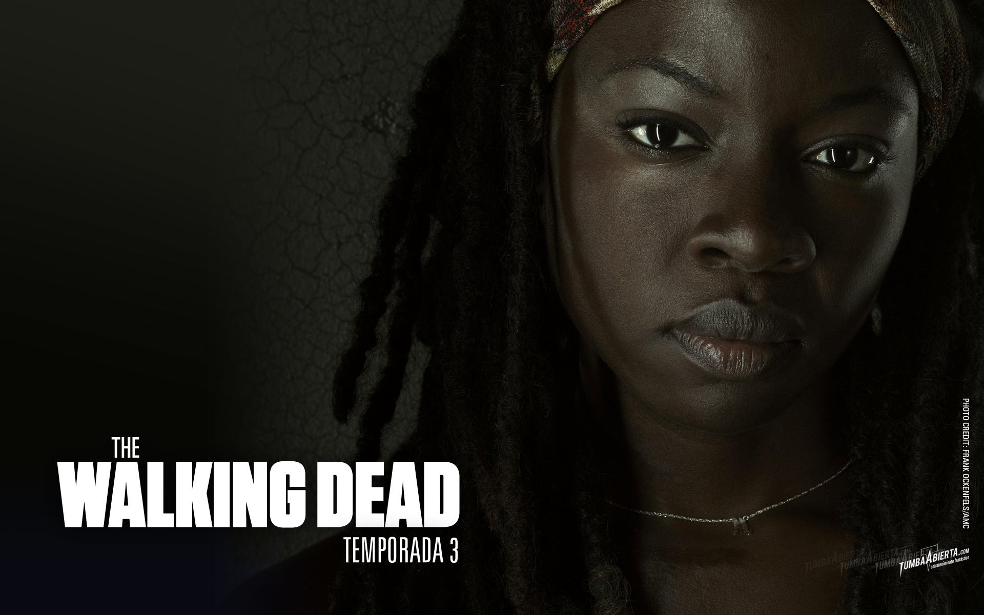 Awesome Michonne (The Walking Dead) free wallpaper ID:190289 for hd 1920x1200 PC