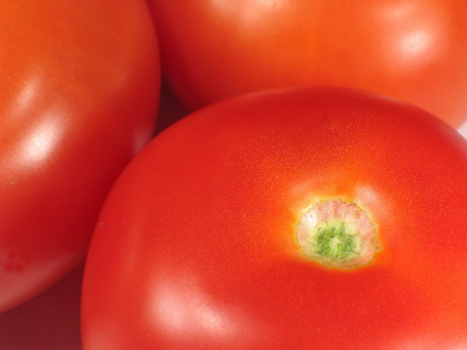 Free Tomato high quality background ID:95425 for hd 1920x1440 desktop