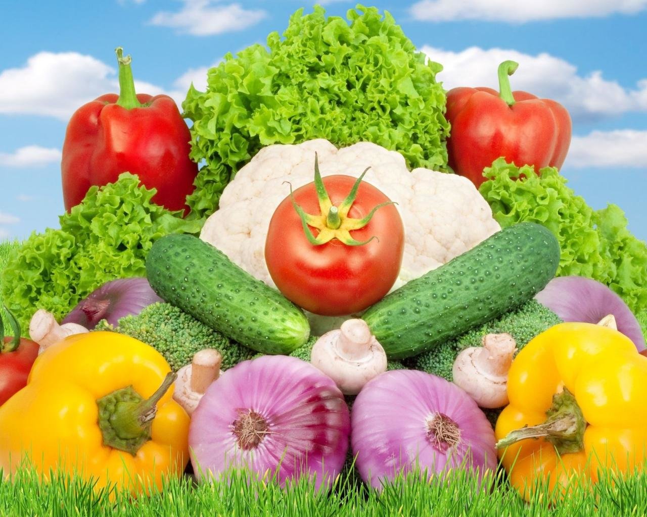 Download hd 1280x1024 Vegetables PC background ID:114700 for free
