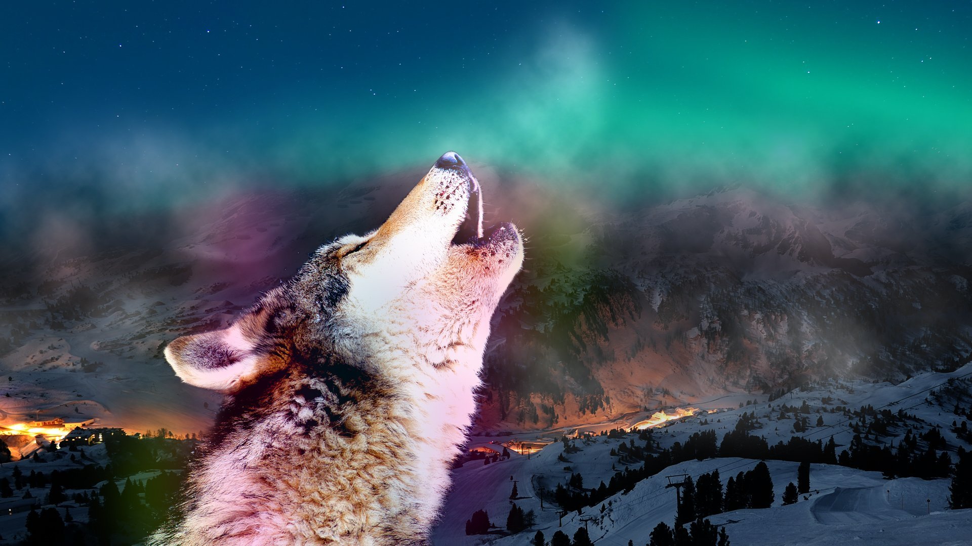 Awesome Wolf free background ID:117853 for full hd 1920x1080 computer