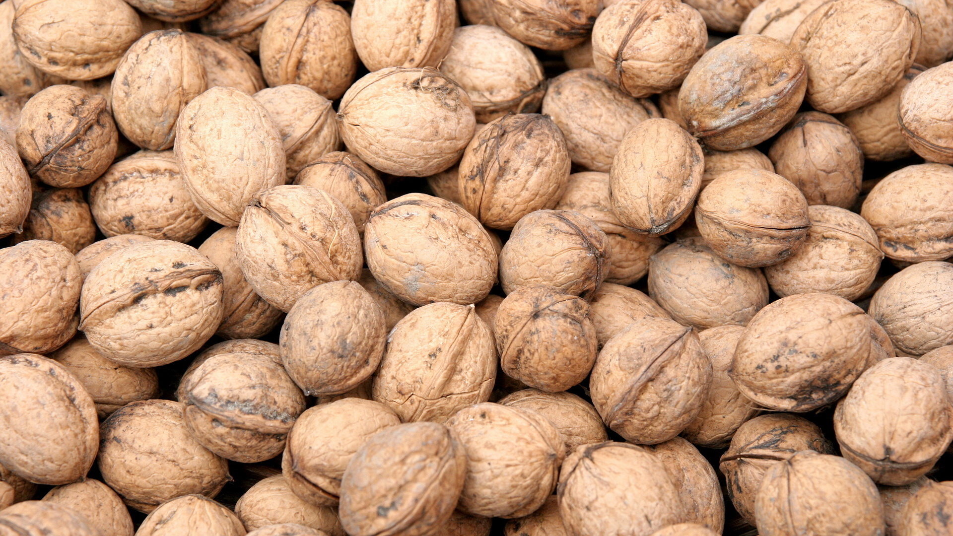 Awesome Walnut free background ID:116943 for full hd 1920x1080 PC