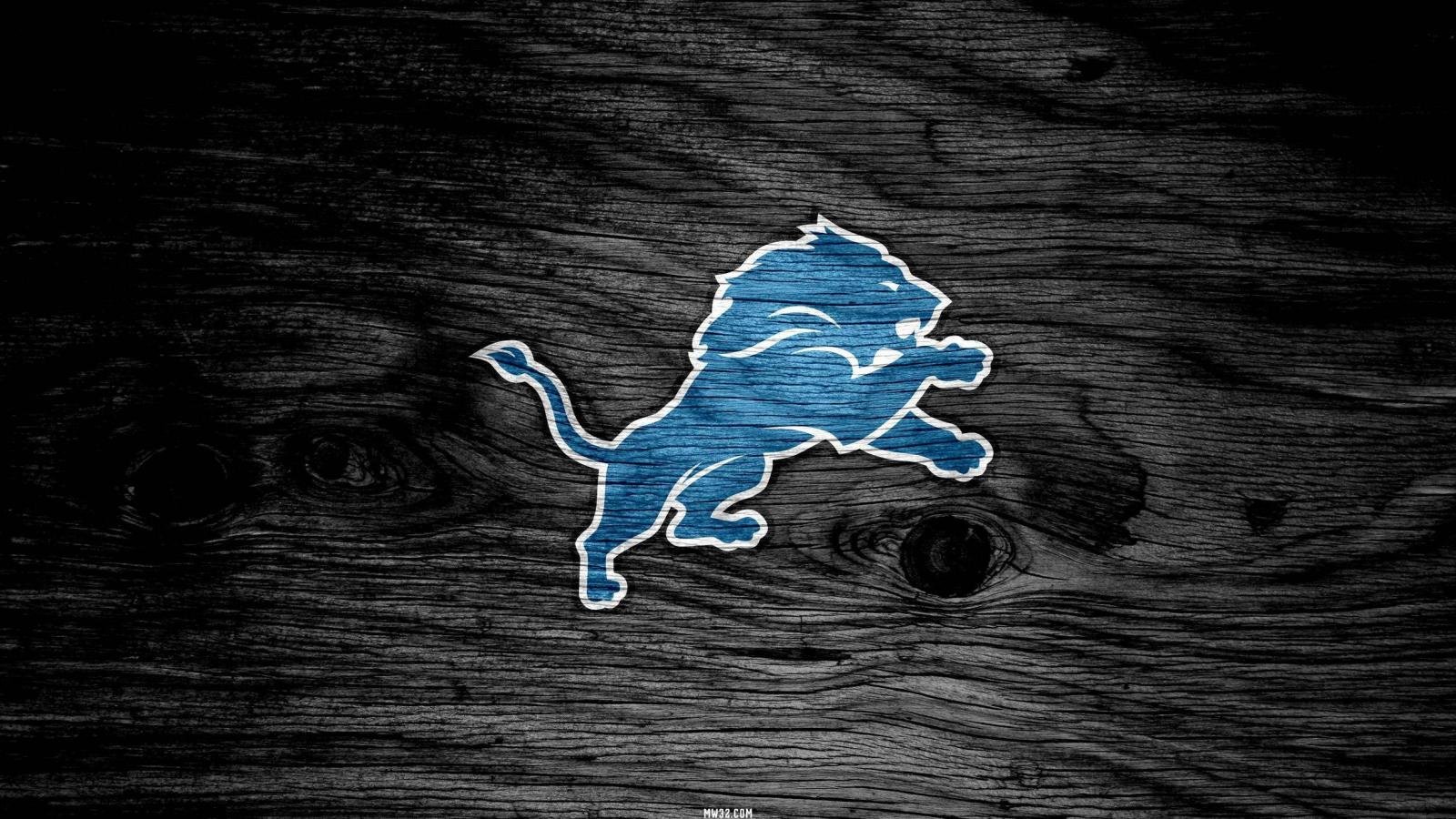 Awesome Detroit Lions free background ID:391839 for hd 1600x900 computer