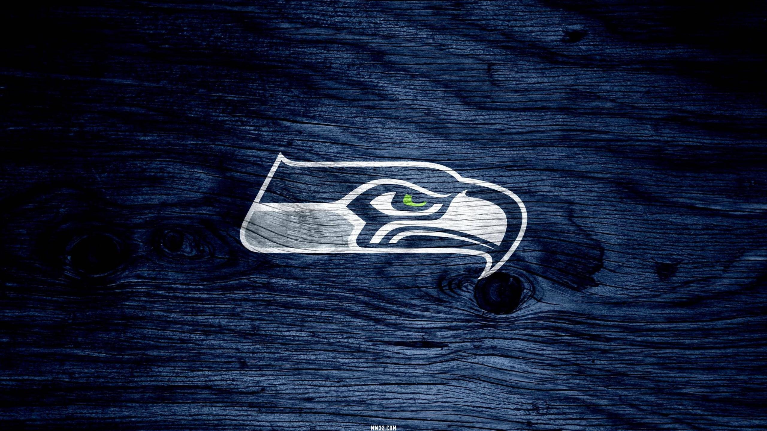 Download hd 2560x1440 Seattle Seahawks computer background ID:347909 for free