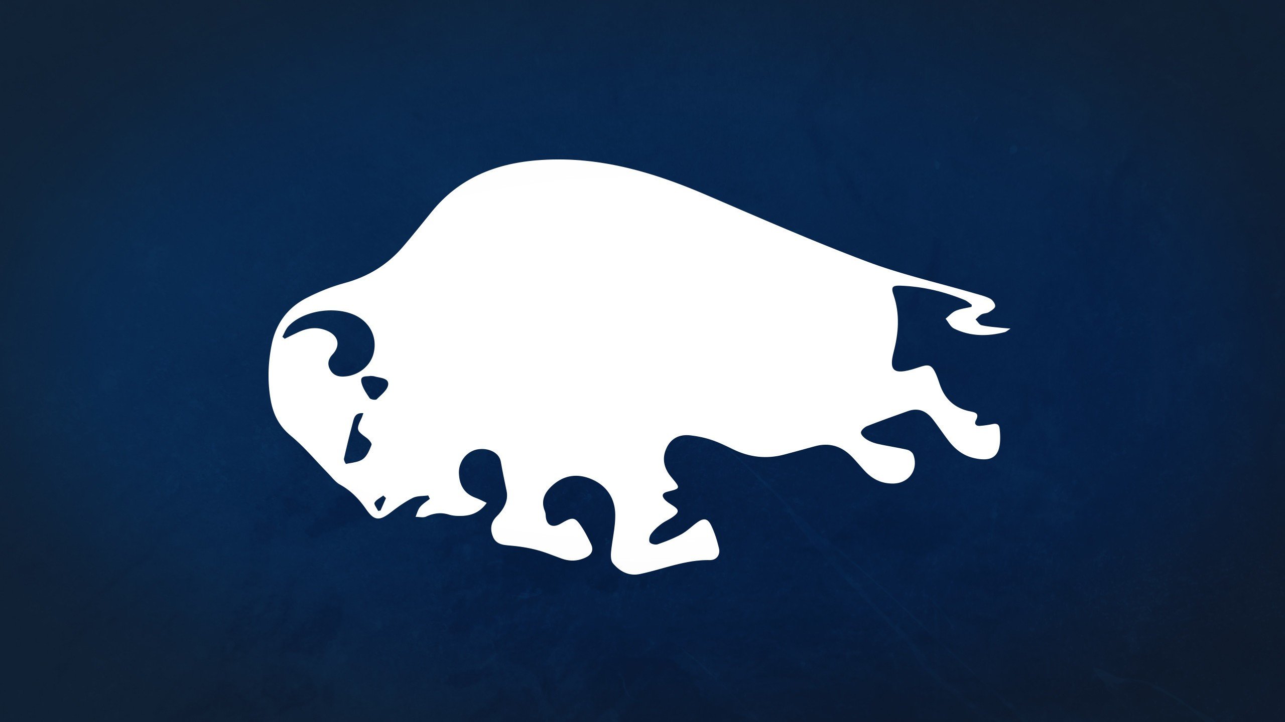 Awesome Buffalo Sabres free background ID:205942 for hd 2560x1440 computer