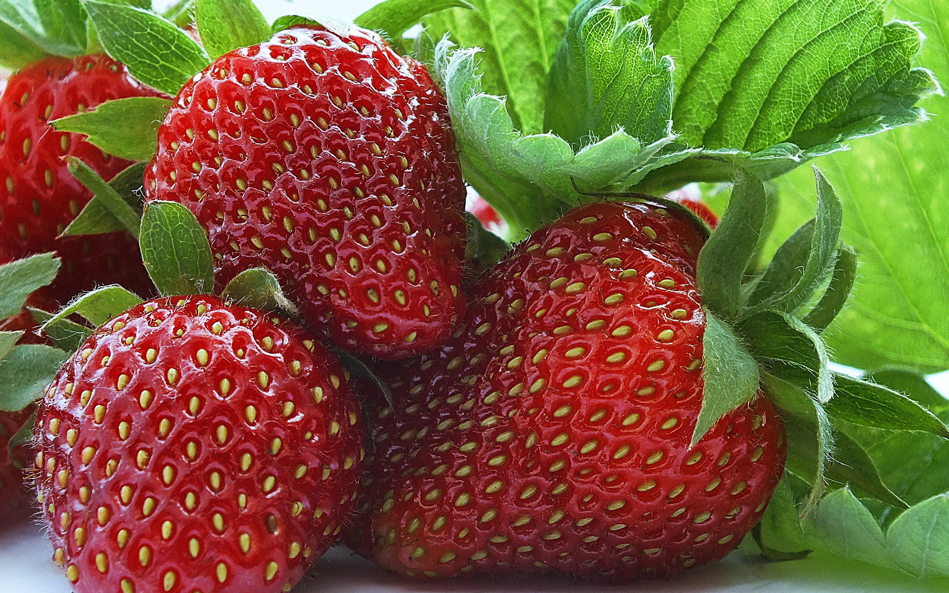 Awesome Strawberry free background ID:90716 for hd 1920x1200 desktop