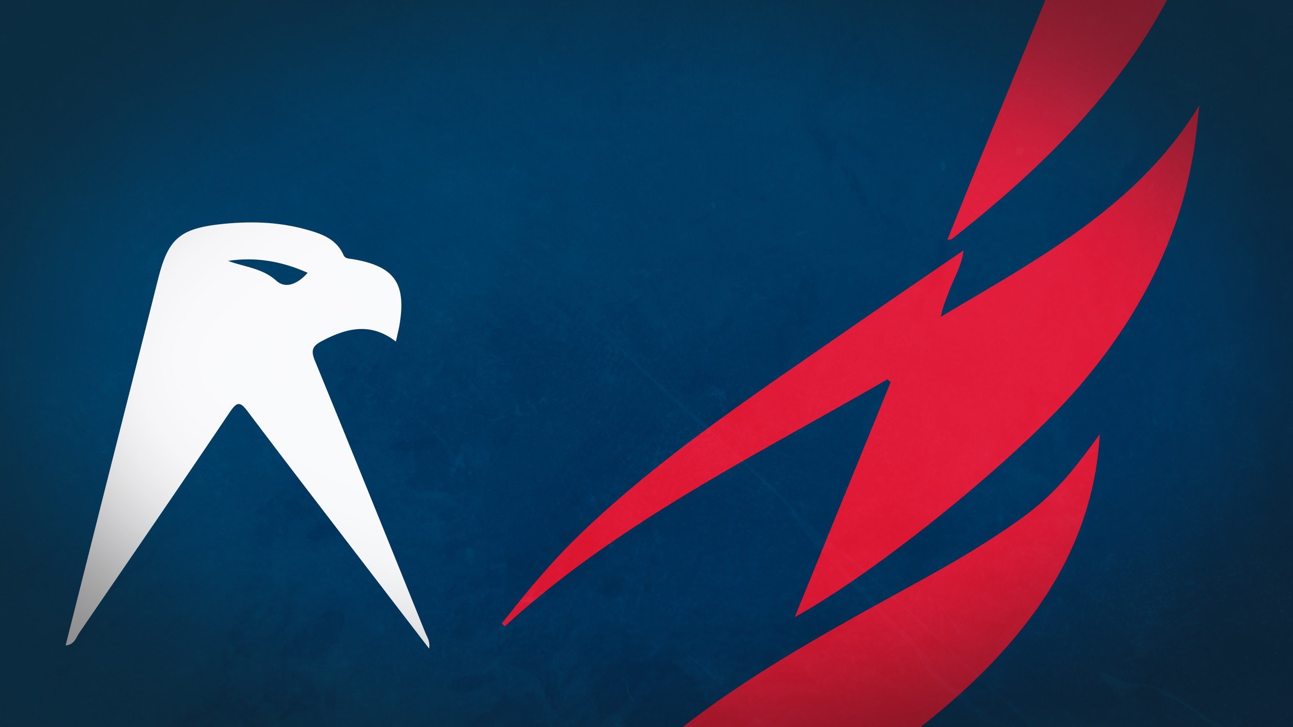 Free download Washington Capitals background ID:246201 hd 2560x1440 for computer
