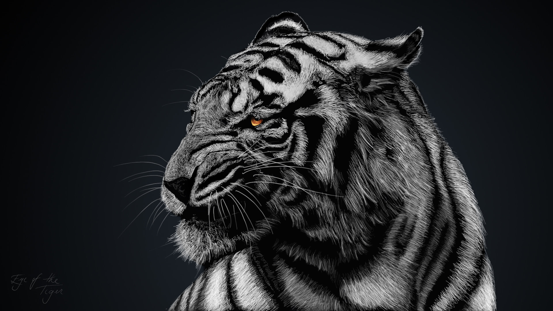 Free White Tiger high quality background ID:174835 for full hd PC