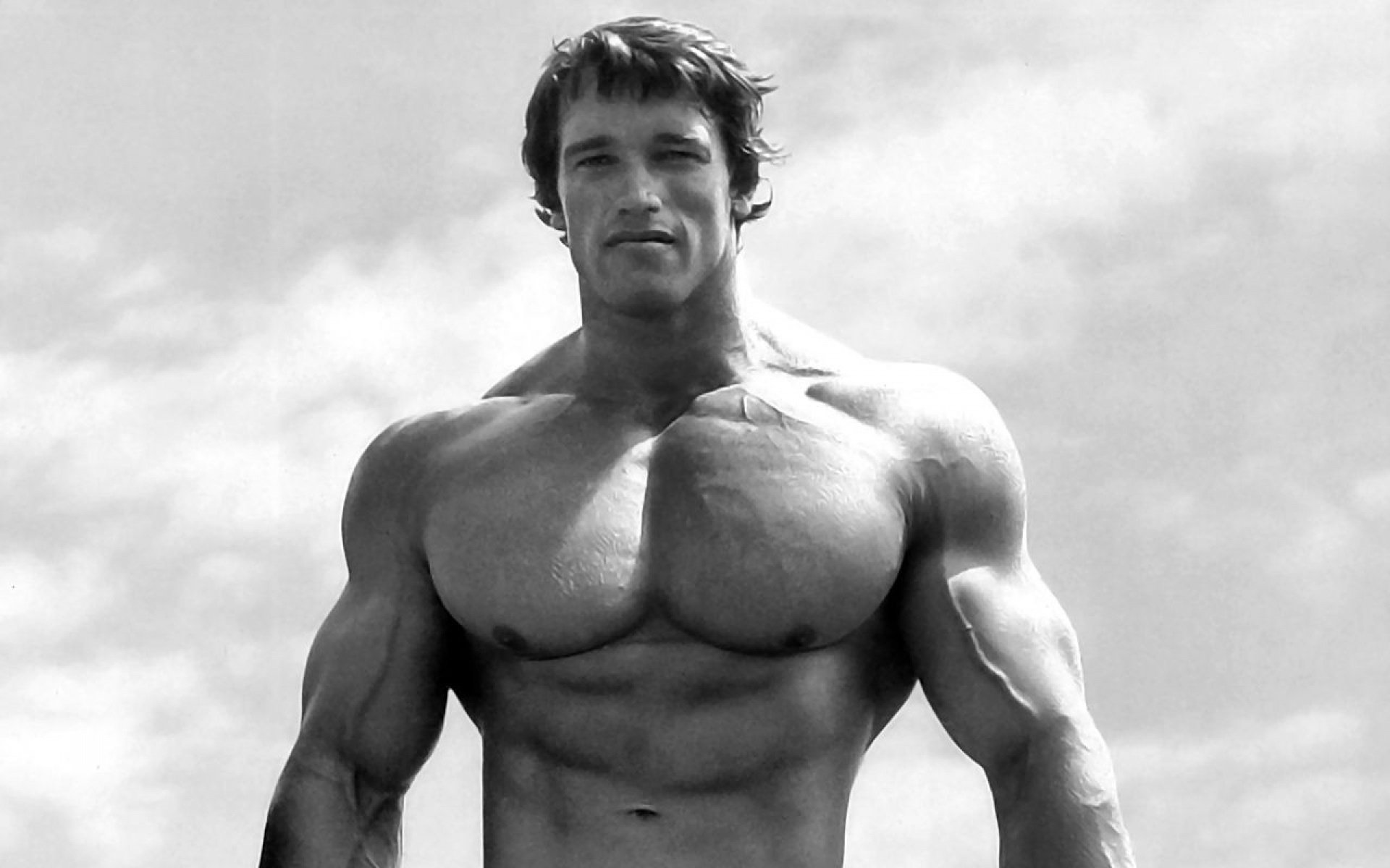 Free Arnold Schwarzenegger high quality background ID:100694 for hd 1920x1200 desktop
