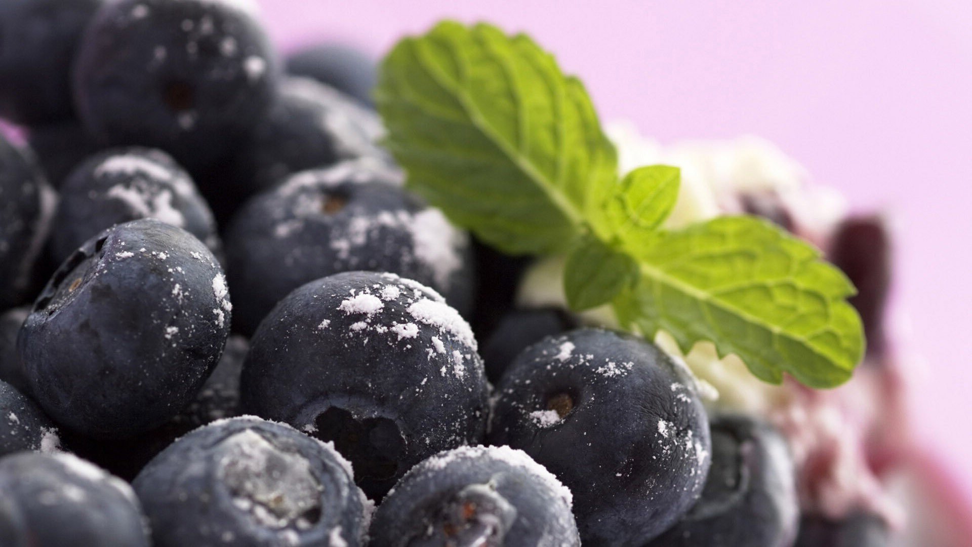 Awesome Blueberry free wallpaper ID:68983 for full hd 1920x1080 PC