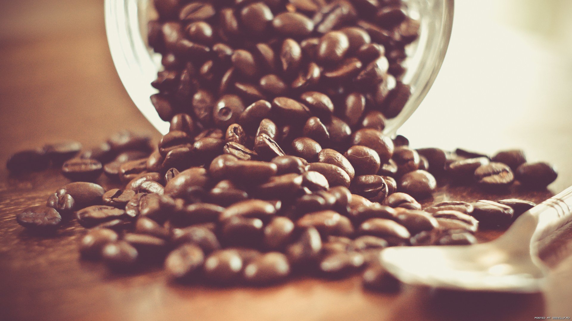 Free download Coffee background ID:33516 full hd 1920x1080 for computer