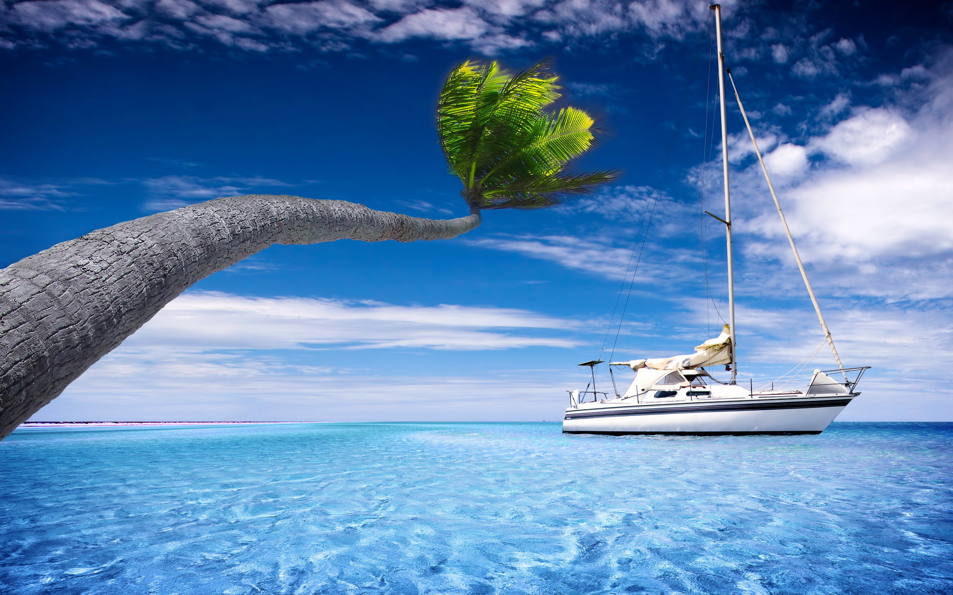 Free Sailboat high quality background ID:484730 for hd 1920x1200 computer