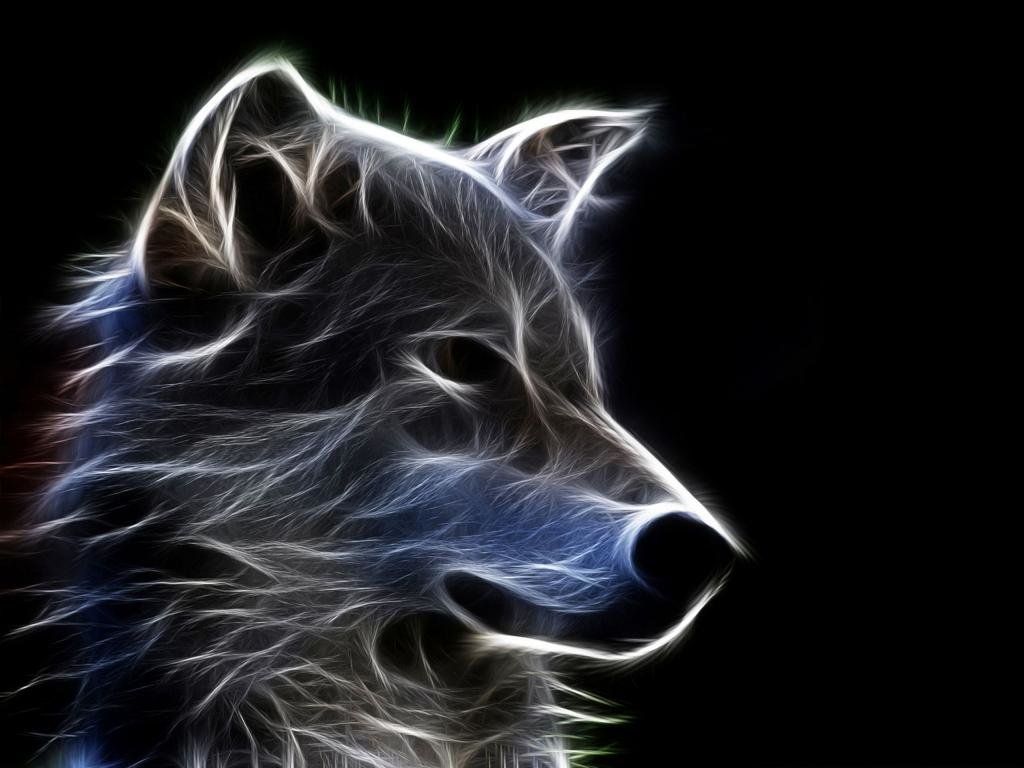 Download hd 1024x768 Wolf PC wallpaper ID:117612 for free