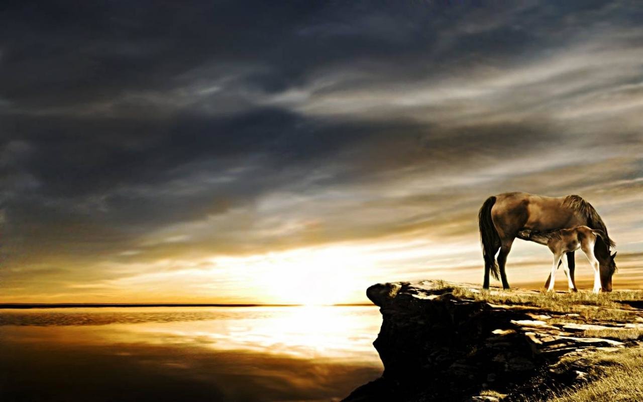 Awesome Horse free wallpaper ID:23902 for hd 1280x800 PC