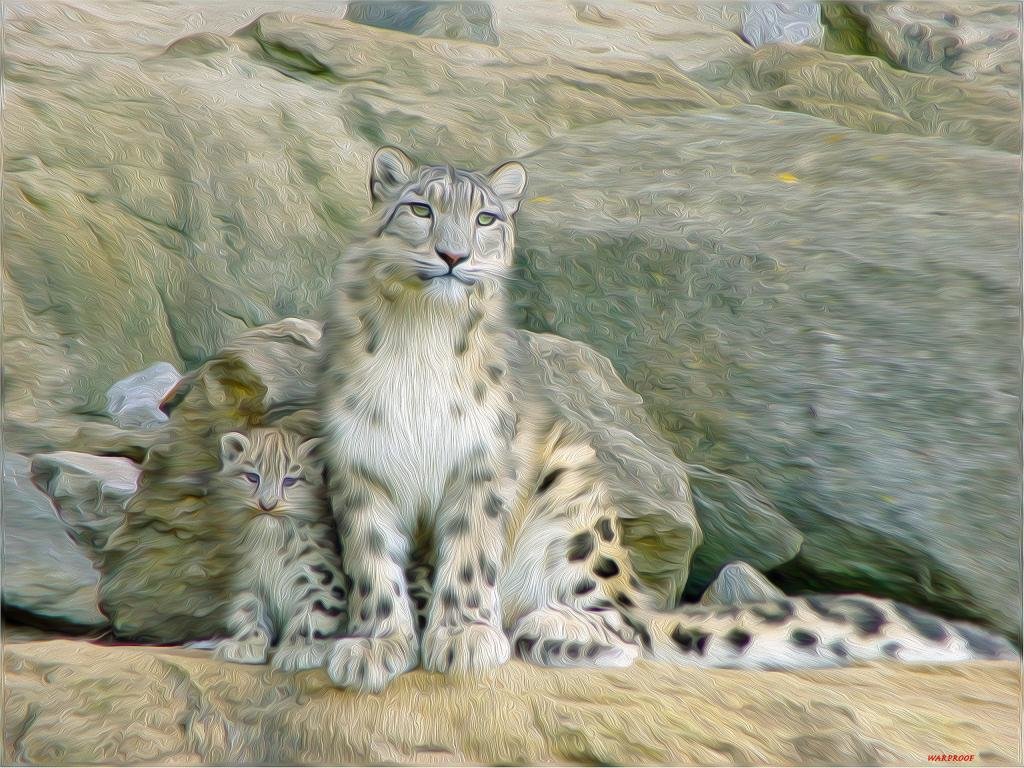 High resolution Snow Leopard hd 1024x768 wallpaper ID:34302 for PC
