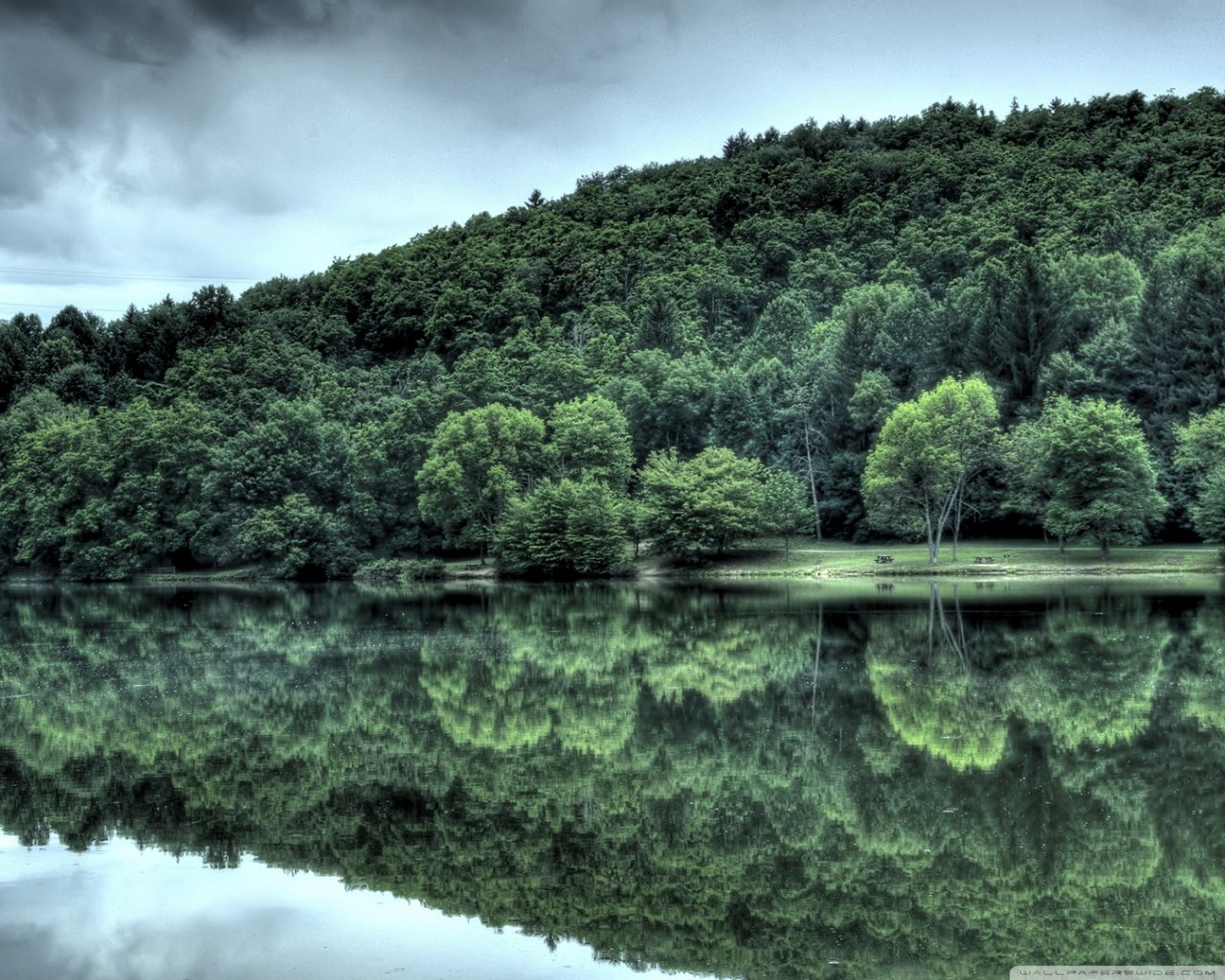 Free Reflection high quality background ID:218396 for hd 1280x1024 PC