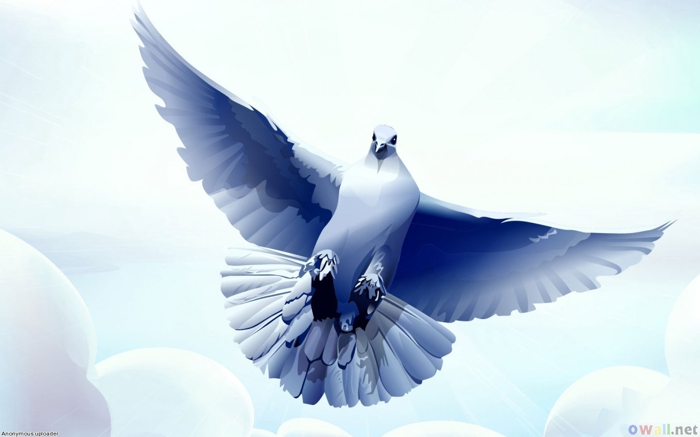 Best Dove background ID:357286 for High Resolution hd 1440x900 computer
