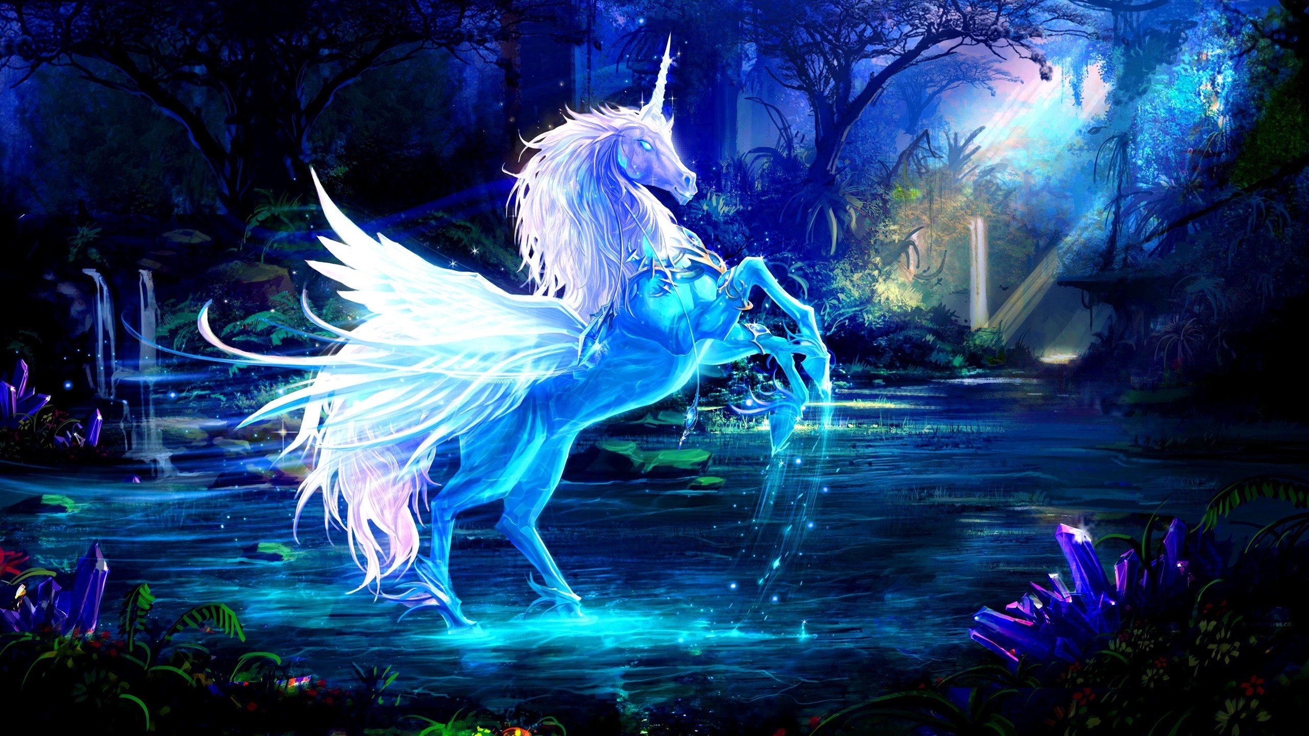 High resolution Pegasus hd 2560x1440 background ID:270835 for PC