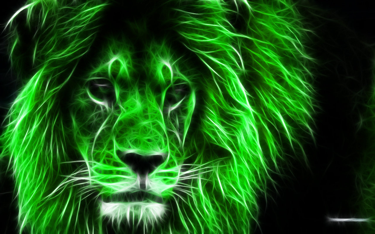 Best Lion background ID:255188 for High Resolution hd 1280x800 computer