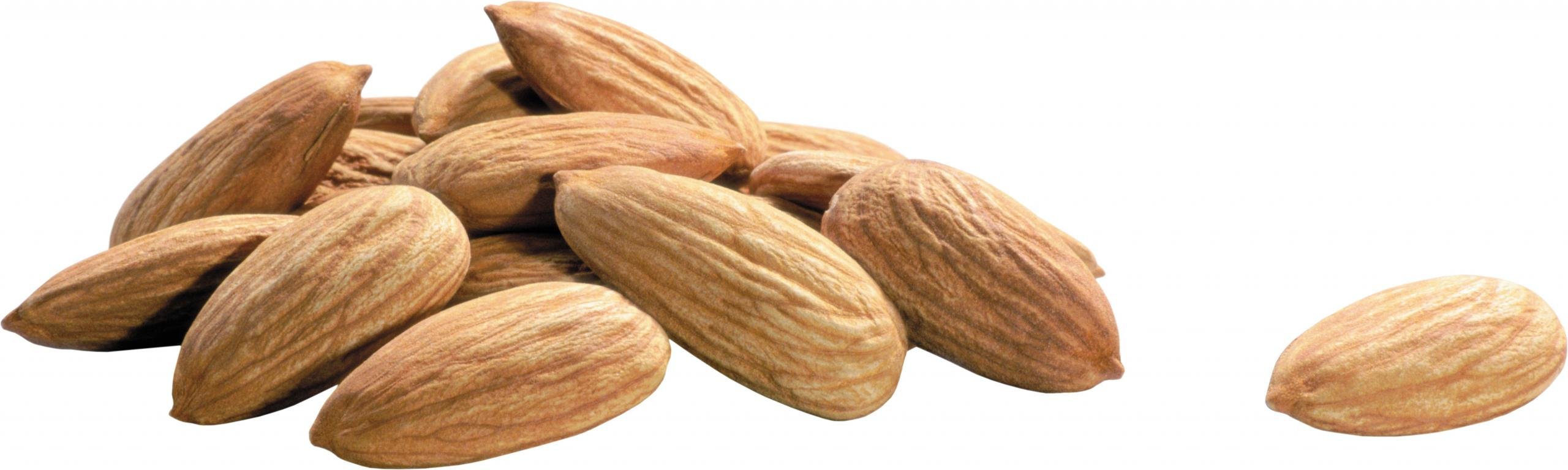 Free Almond high quality background ID:456081 for dual monitor 2560x768 desktop