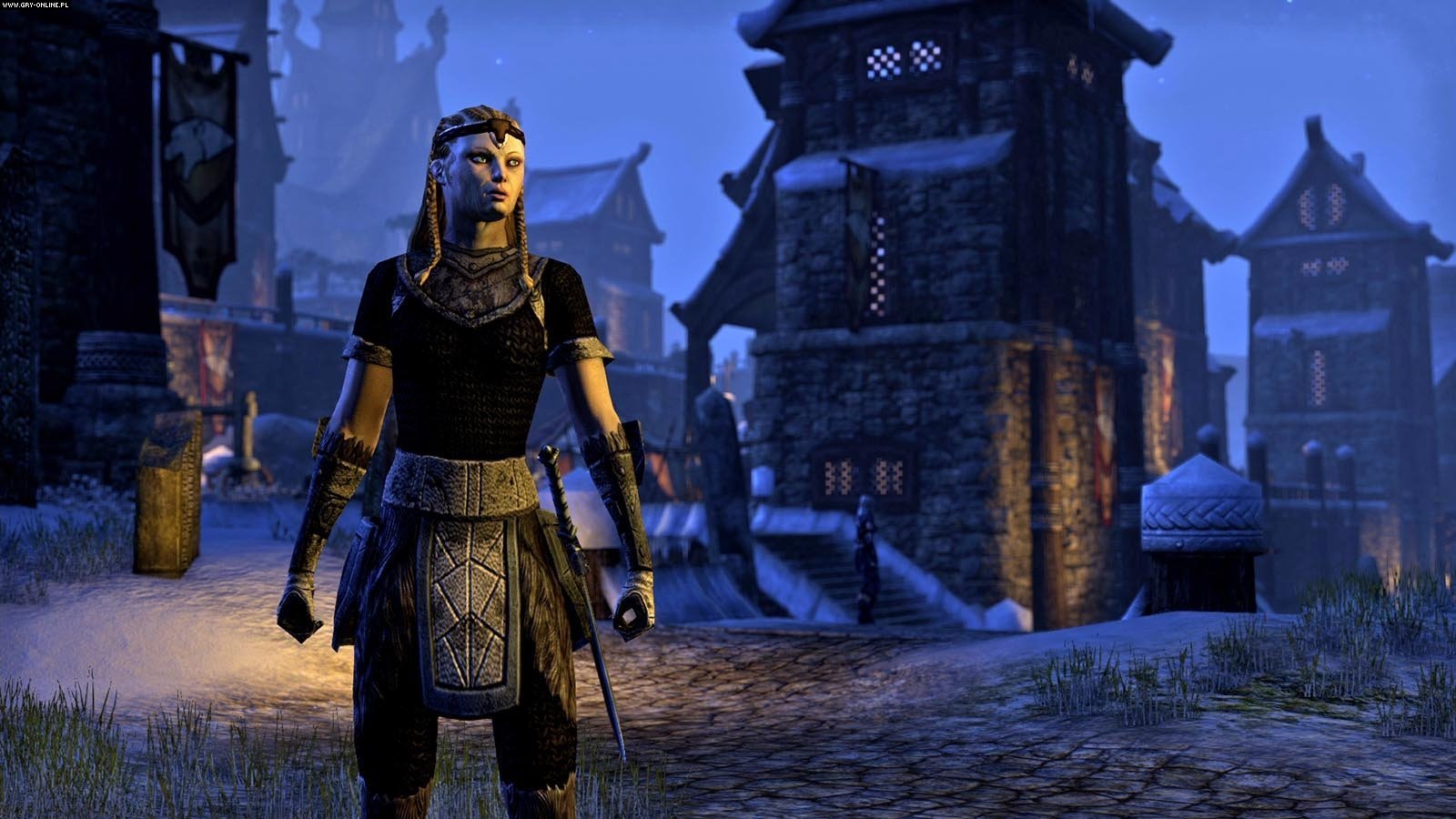 Download hd 1600x900 The Elder Scrolls Online computer background ID:445933 for free