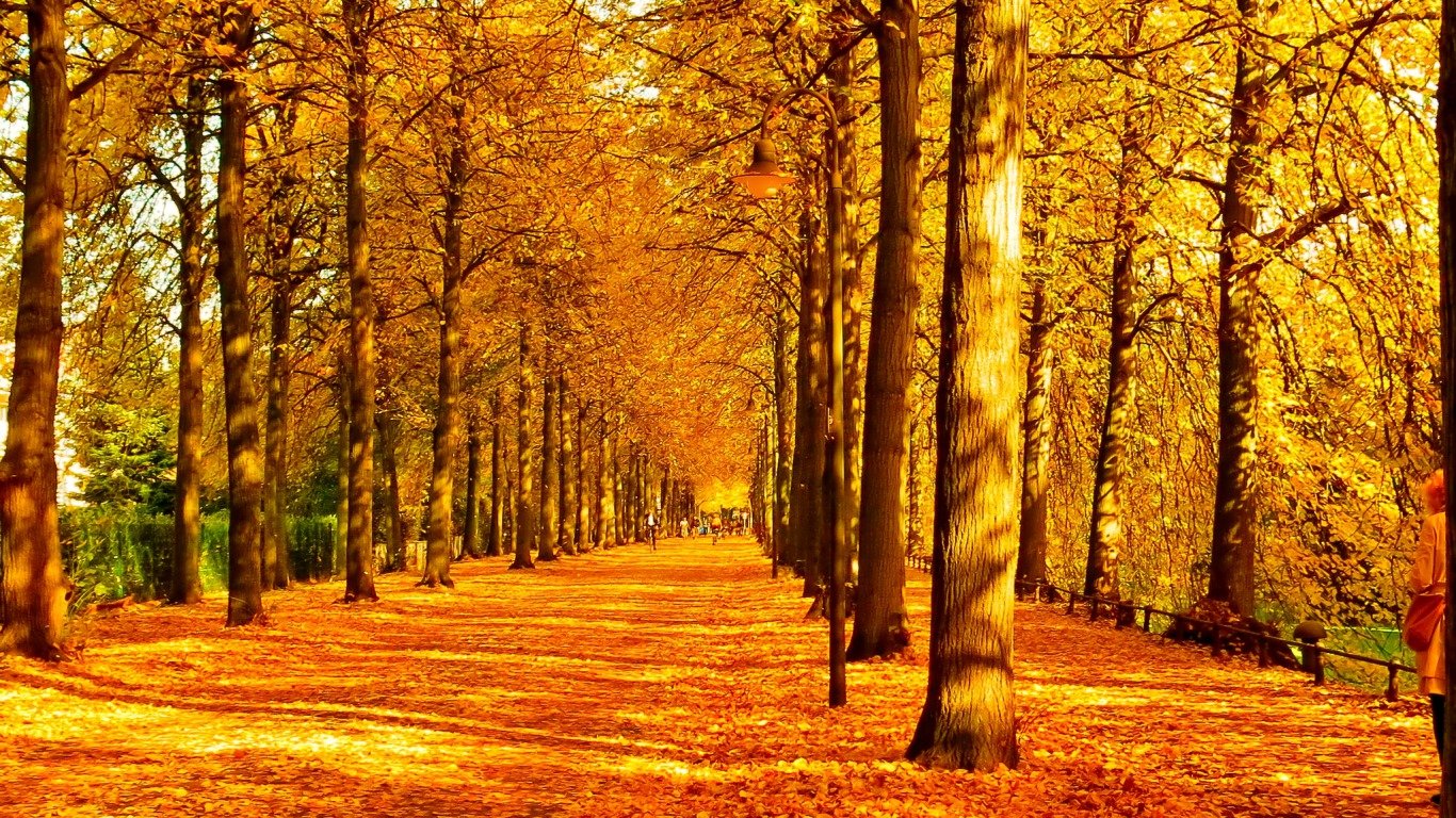 Awesome Fall free wallpaper ID:20759 for hd 1366x768 desktop
