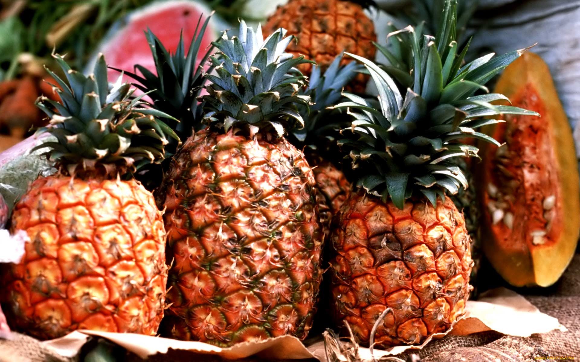 Free Pineapple high quality wallpaper ID:291146 for hd 1920x1200 computer