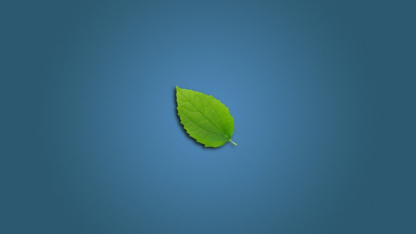 High resolution Leaf laptop background ID:360674 for desktop