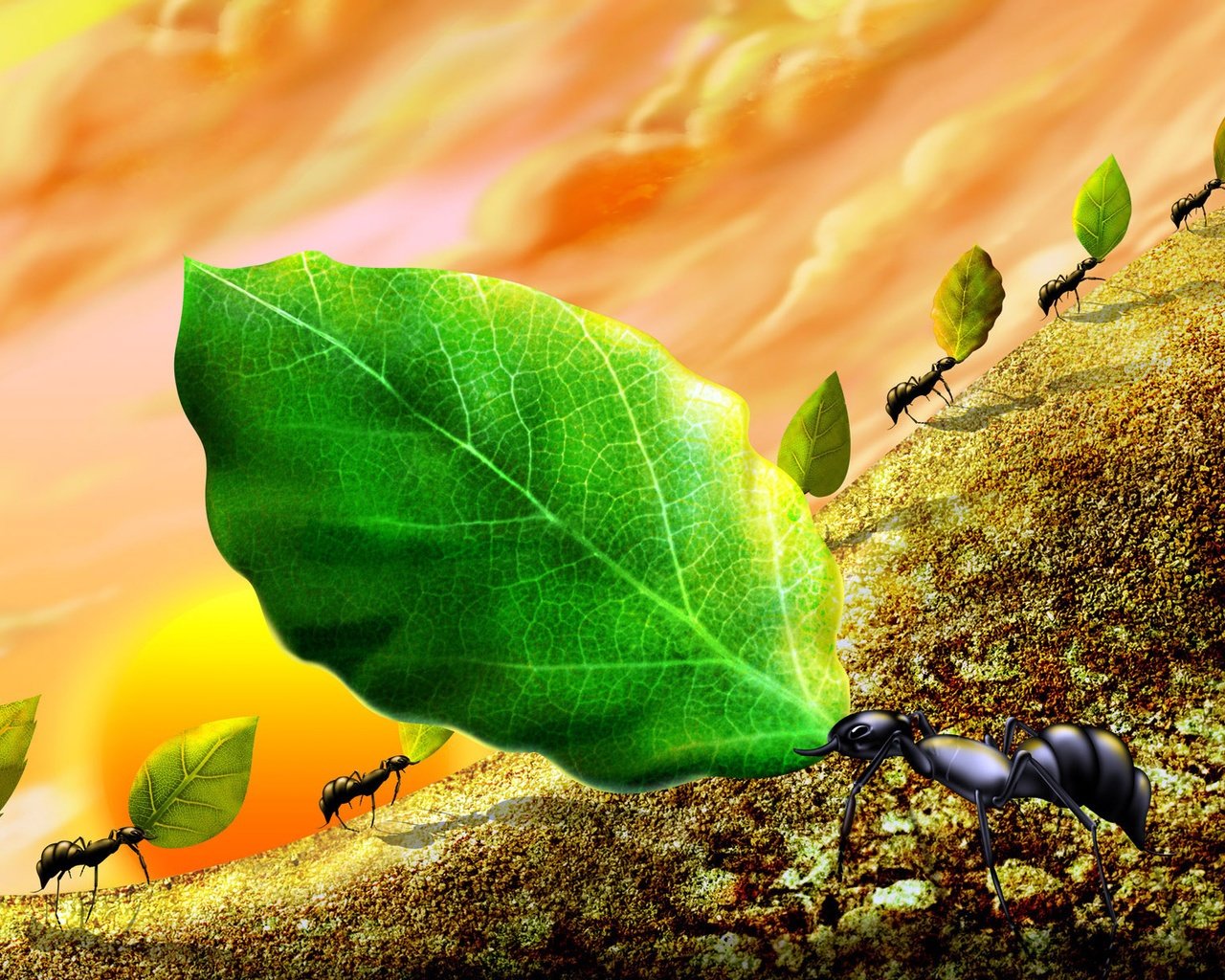 Best Ant wallpaper ID:401307 for High Resolution hd 1280x1024 desktop